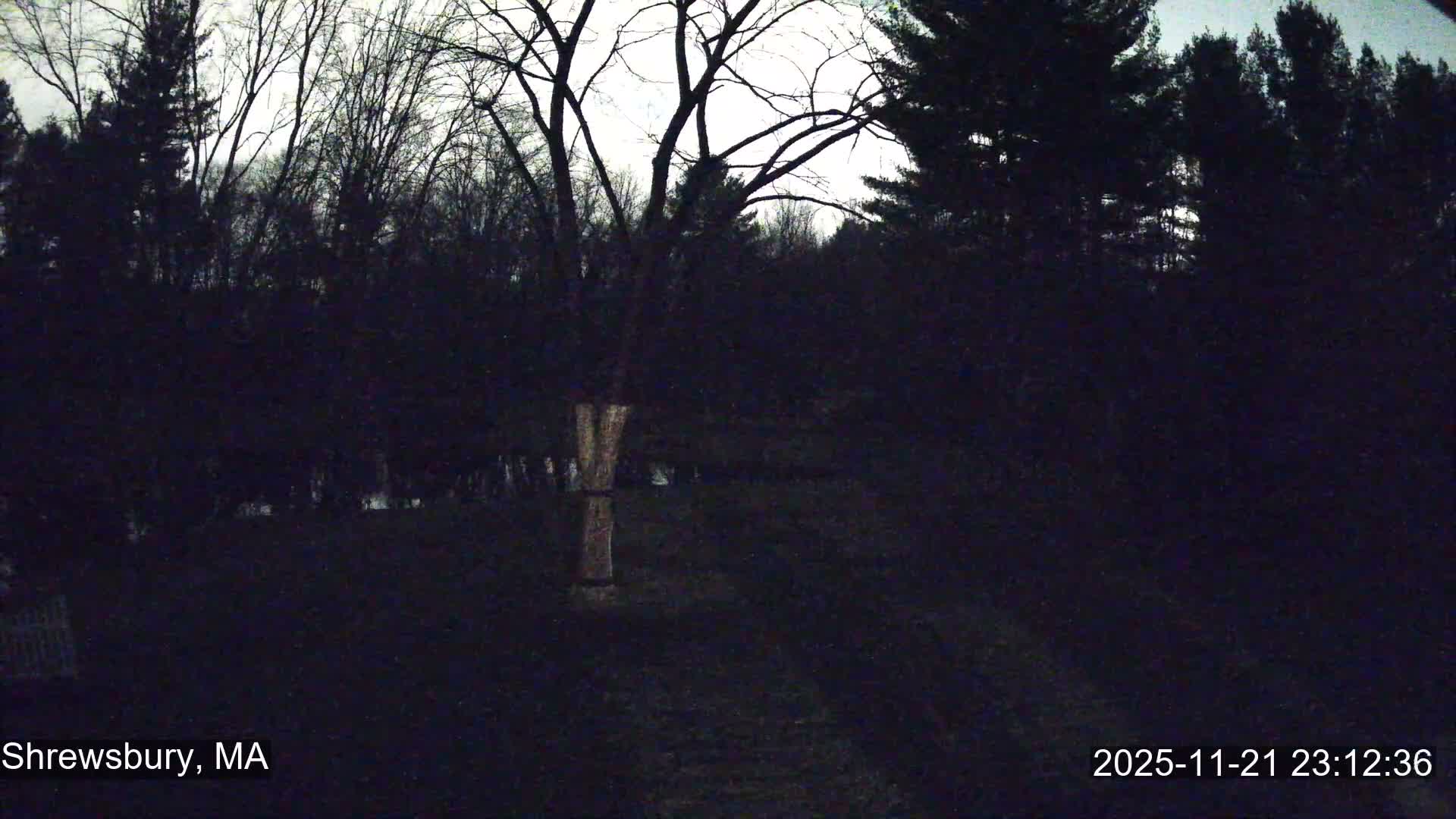 Scenic Pond and Trees Live Cam - Shrewsbury, Massachusetts , USA