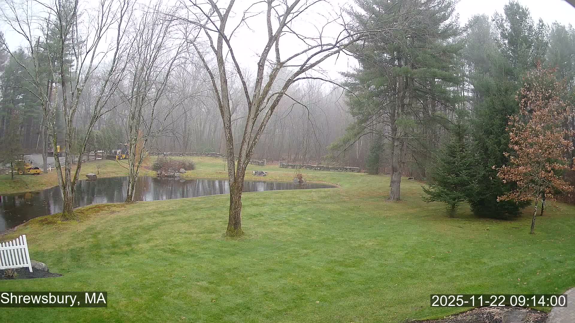 Scenic Pond and Trees Live Cam - Shrewsbury, Massachusetts , USA