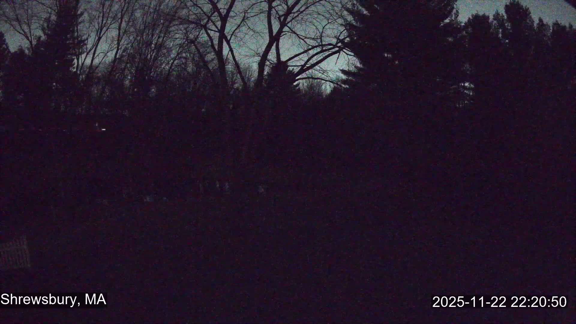 Scenic Pond and Trees Live Cam - Shrewsbury, Massachusetts , USA