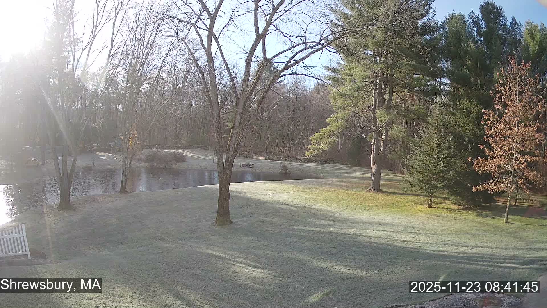 Scenic Pond and Trees Live Cam - Shrewsbury, Massachusetts , USA