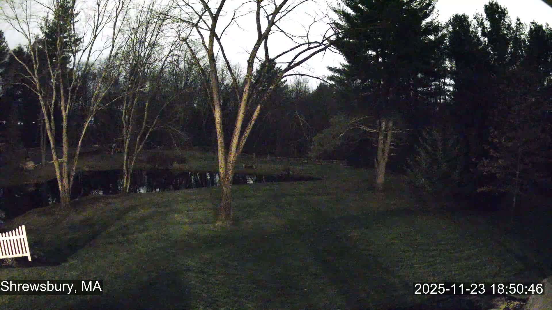 Scenic Pond and Trees Live Cam - Shrewsbury, Massachusetts , USA