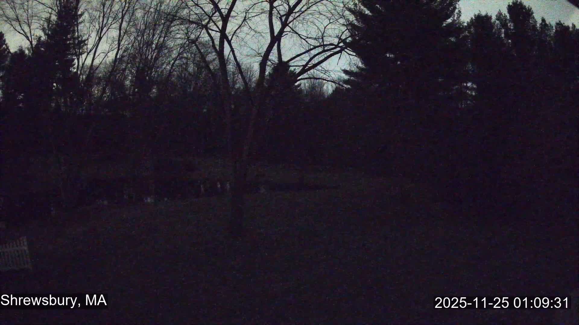 Scenic Pond and Trees Live Cam - Shrewsbury, Massachusetts , USA