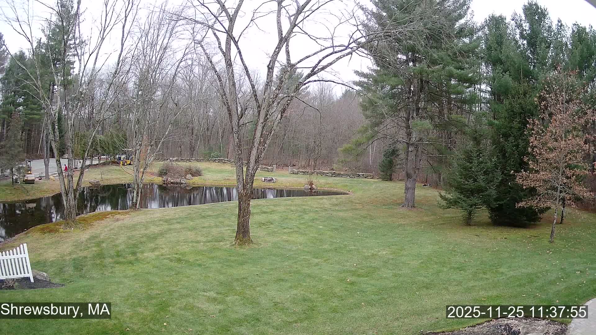 Scenic Pond and Trees Live Cam - Shrewsbury, Massachusetts , USA