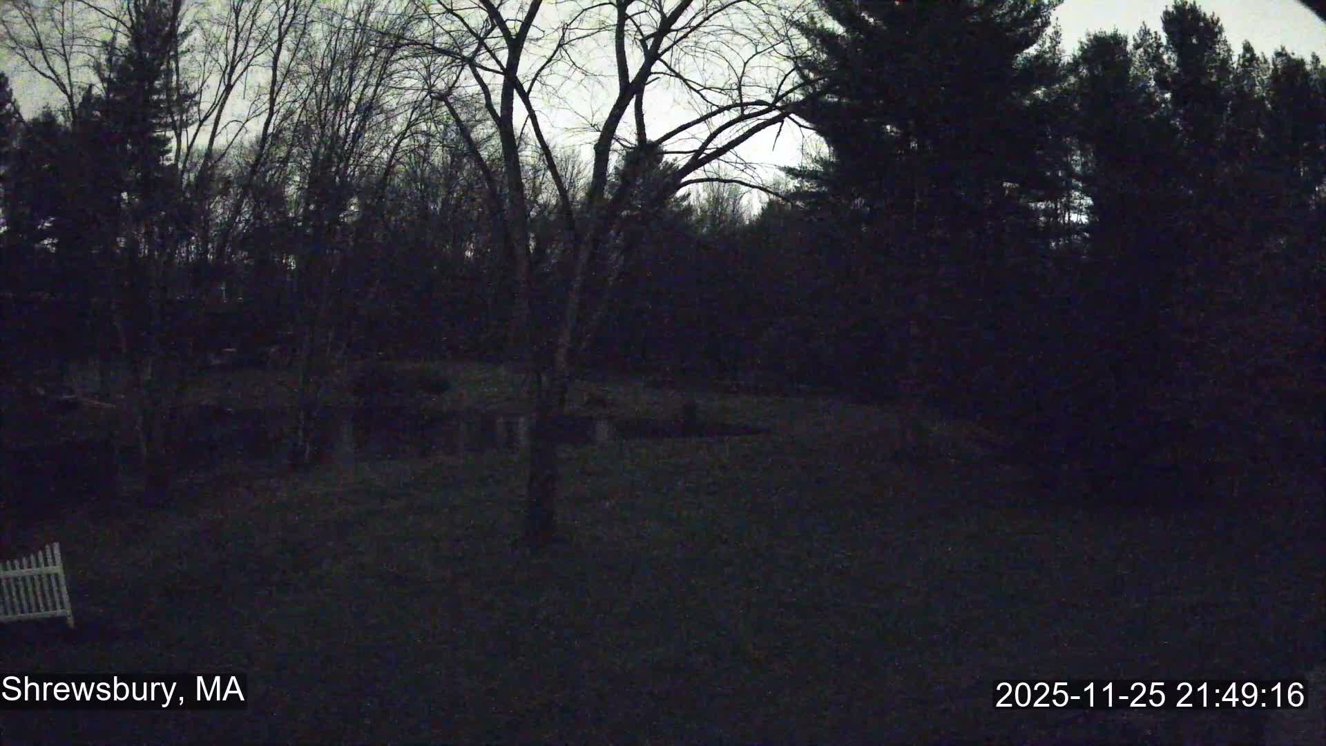 Scenic Pond and Trees Live Cam - Shrewsbury, Massachusetts , USA