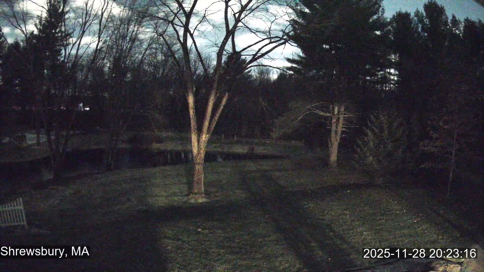 Scenic Pond and Trees Live Cam - Shrewsbury, Massachusetts , USA