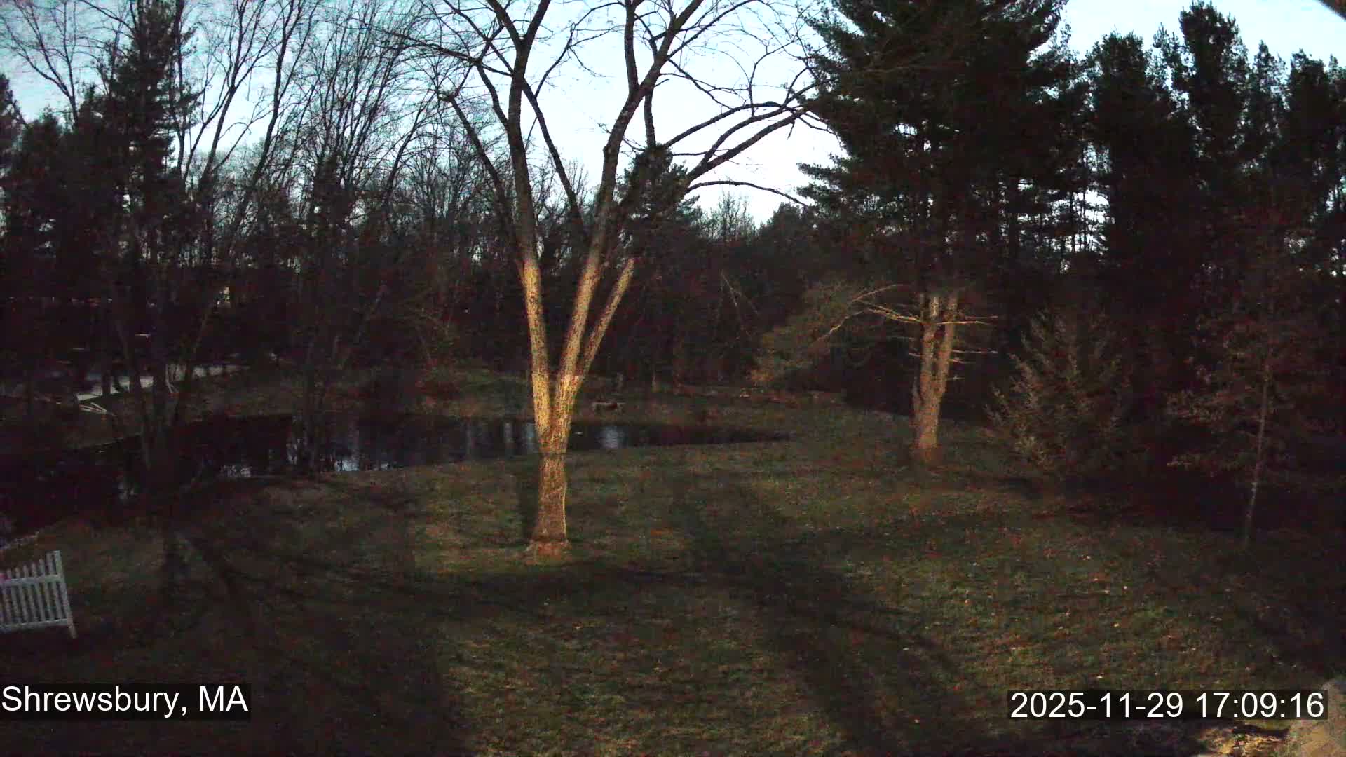 Scenic Pond and Trees Live Cam - Shrewsbury, Massachusetts , USA