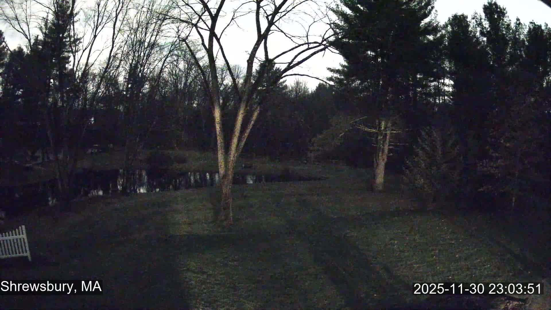 Scenic Pond and Trees Live Cam - Shrewsbury, Massachusetts , USA