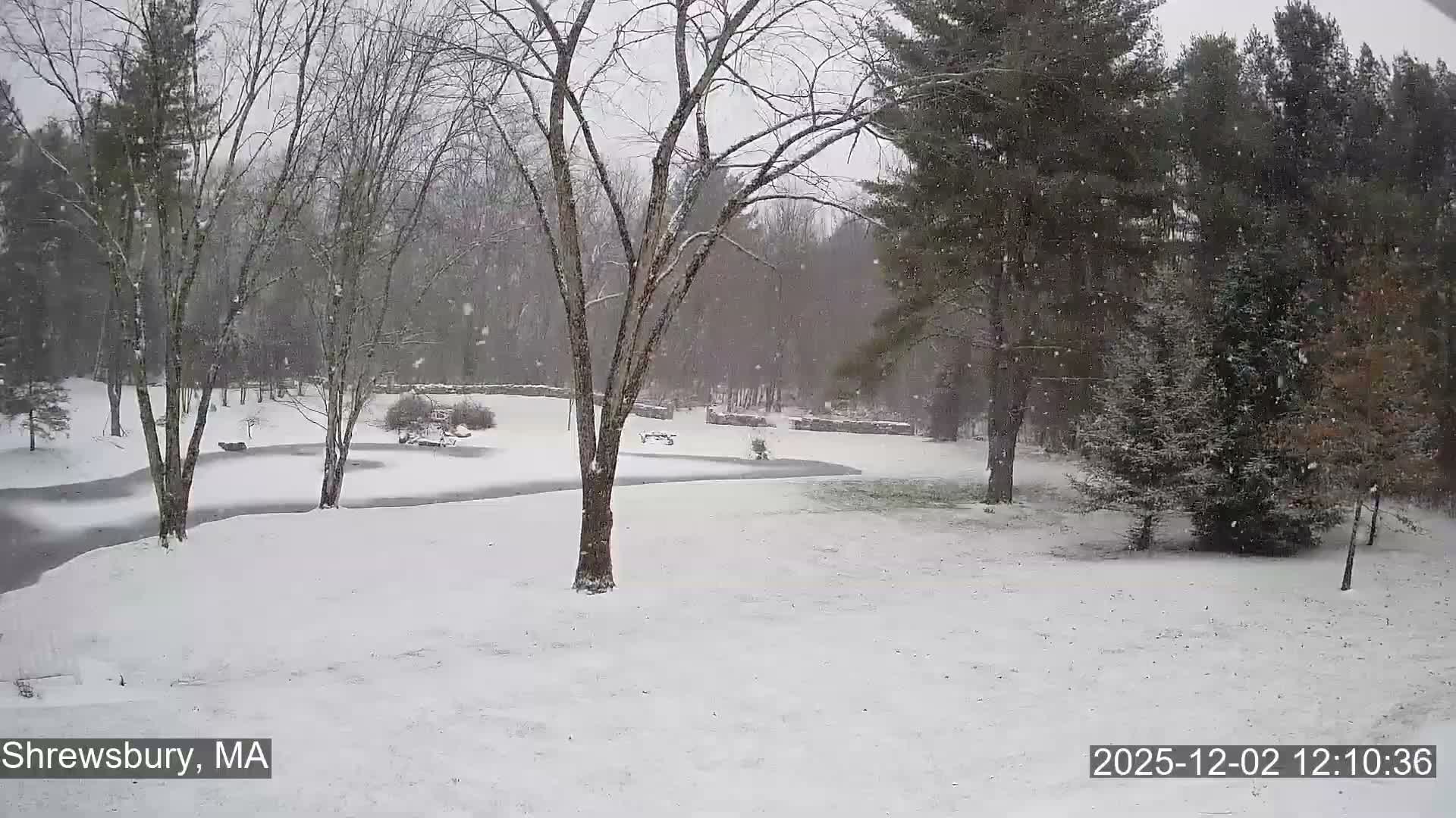 A winter landscape covered in fresh snow features a winding path, several bare deciduous trees, and a dense backdrop of evergreen trees under active snowfall.