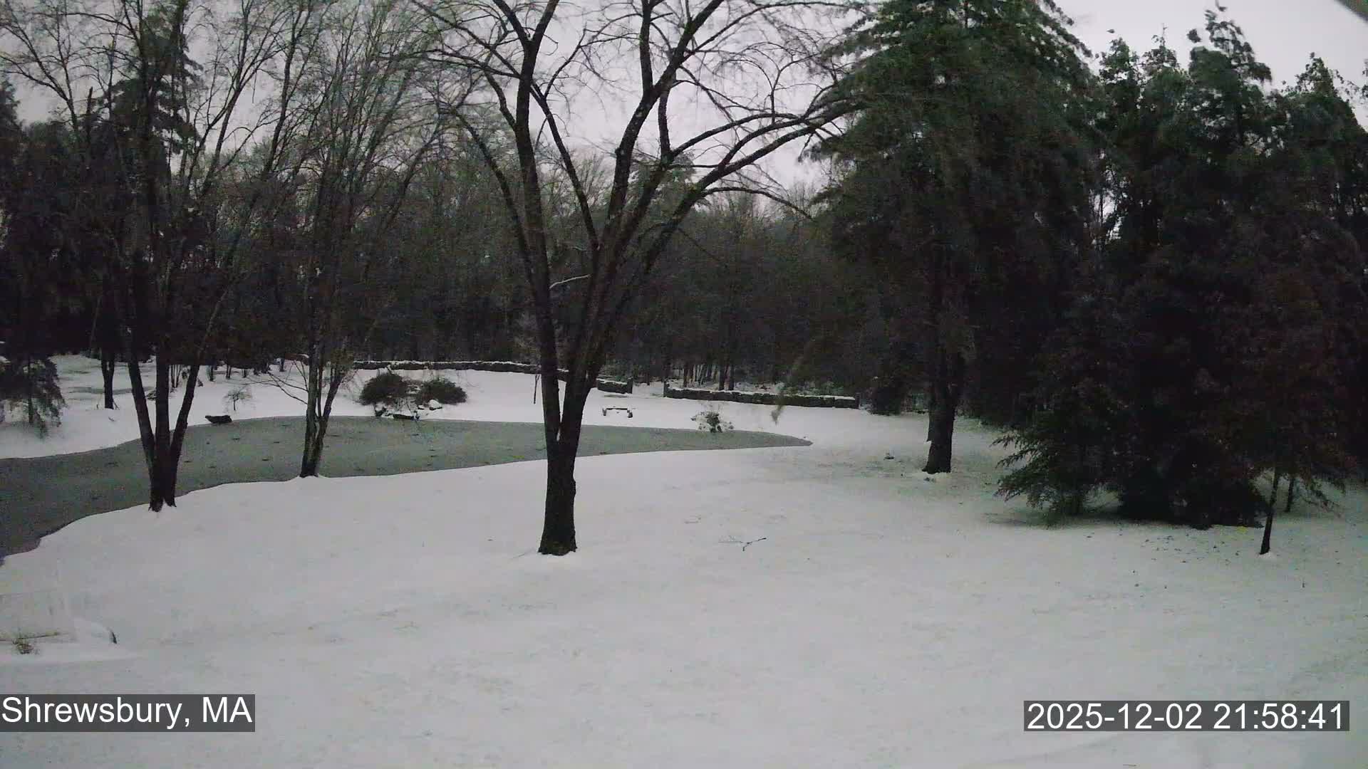 Scenic Pond and Trees Live Cam - Shrewsbury, Massachusetts , USA