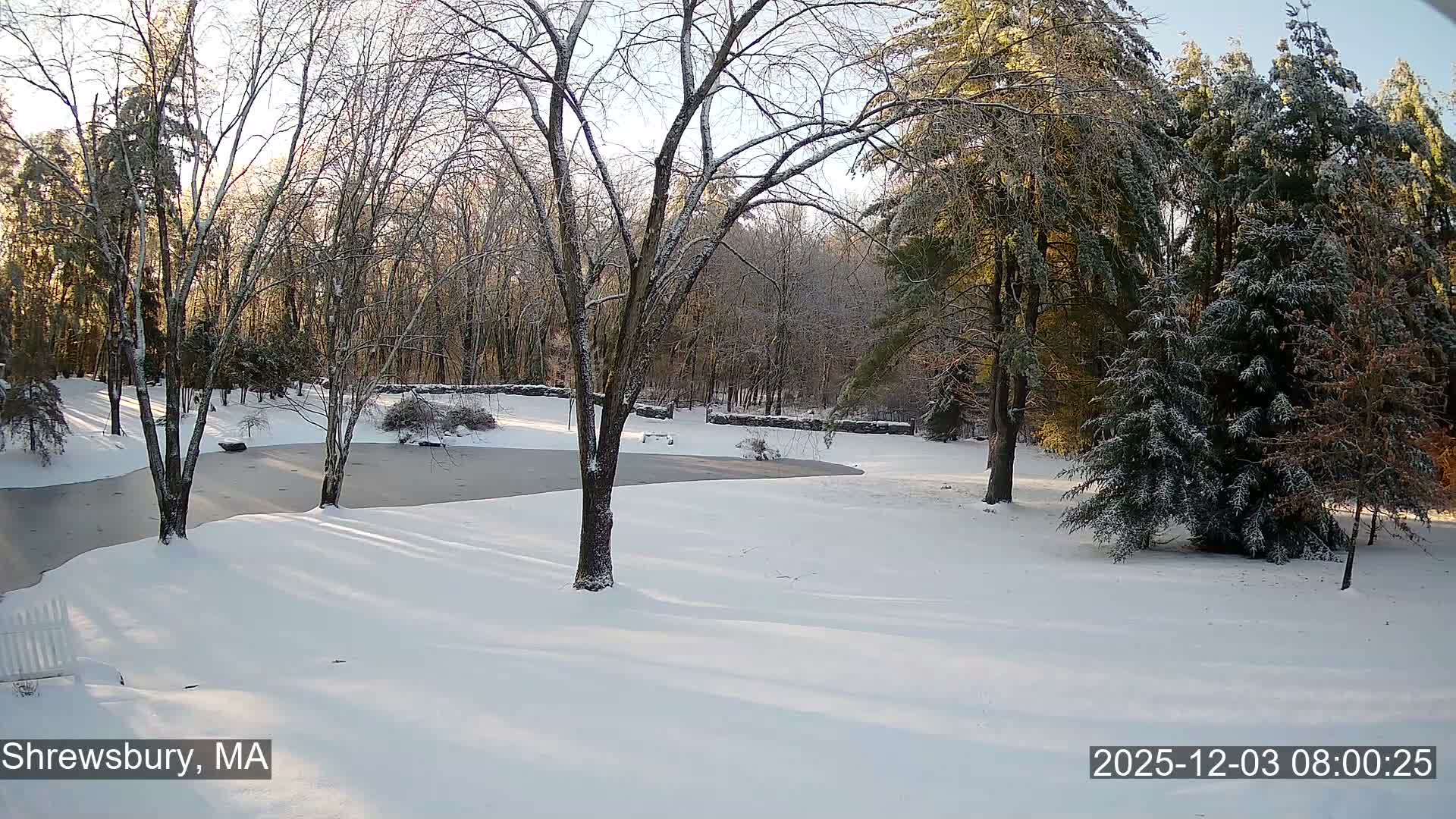Scenic Pond and Trees Live Cam - Shrewsbury, Massachusetts , USA