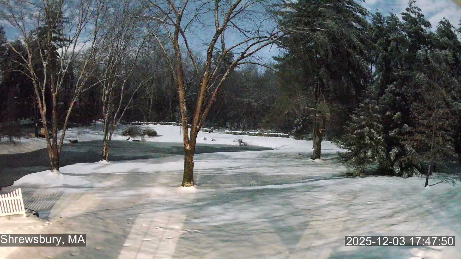 Scenic Pond and Trees Live Cam - Shrewsbury, Massachusetts , USA