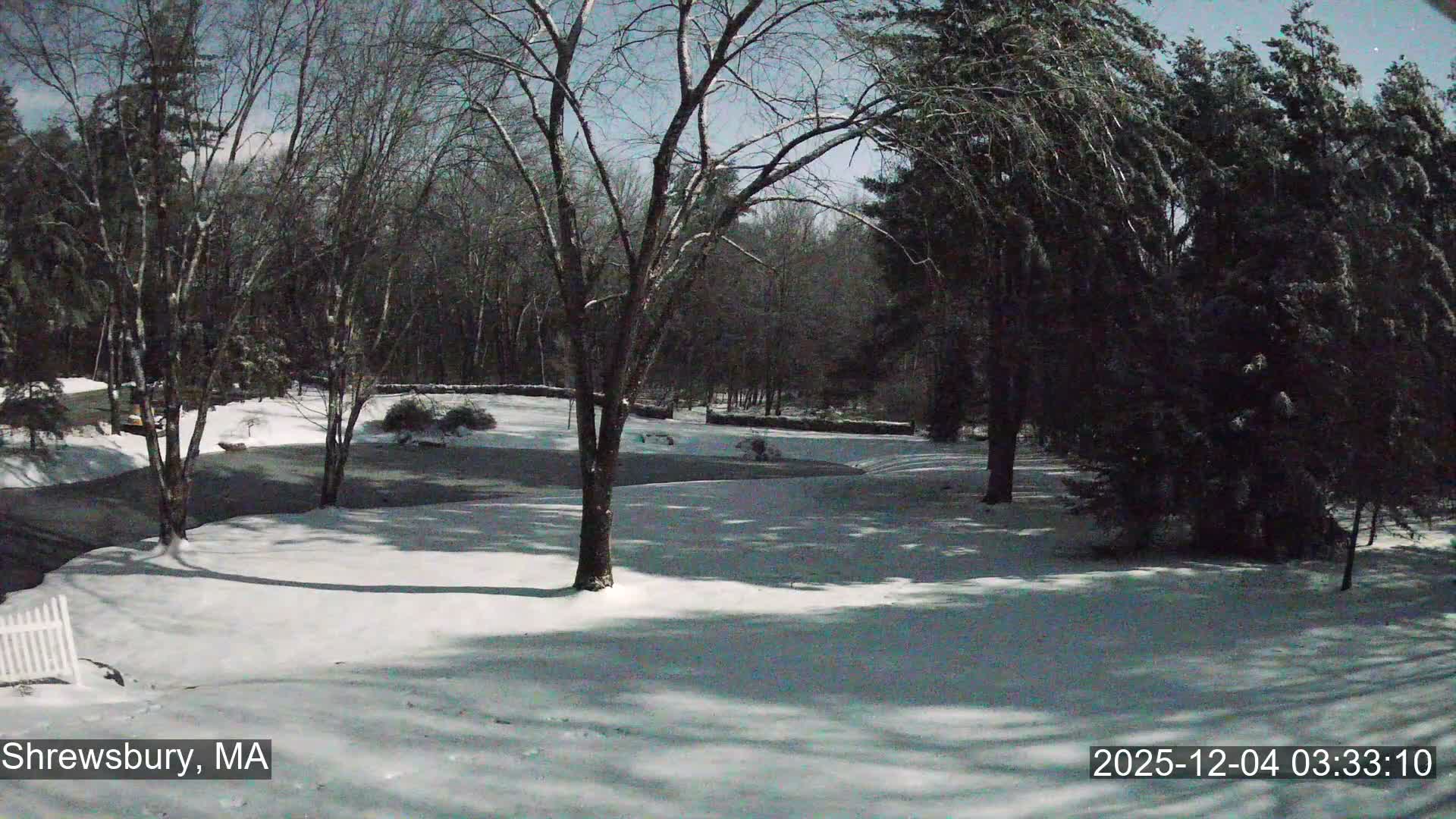 A snowy landscape shows a scattering of bare deciduous trees and dark evergreen trees amidst snow-dusted ground and what appears to be a partially frozen stream or dark path, all under a clear, bright sky on a cold day.