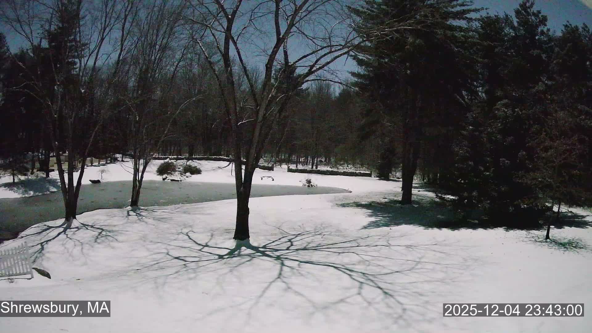 Scenic Pond and Trees Live Cam - Shrewsbury, Massachusetts , USA