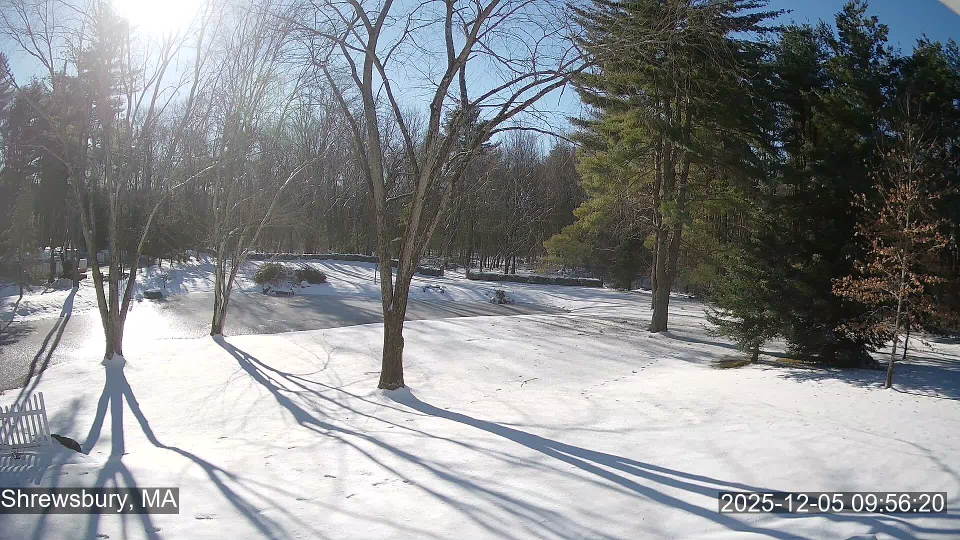 Scenic Pond and Trees Live Cam - Shrewsbury, Massachusetts , USA