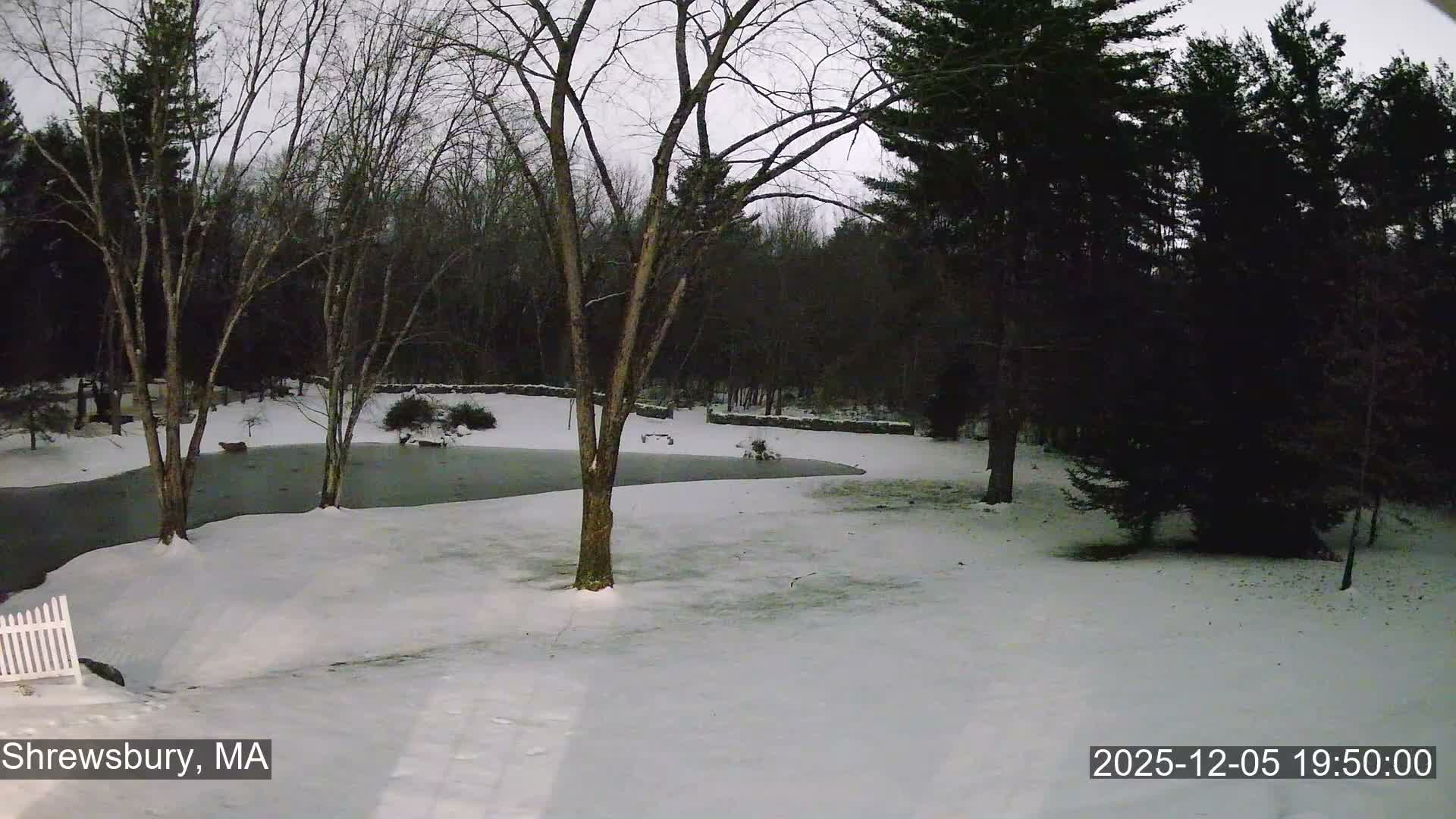 Scenic Pond and Trees Live Cam - Shrewsbury, Massachusetts , USA