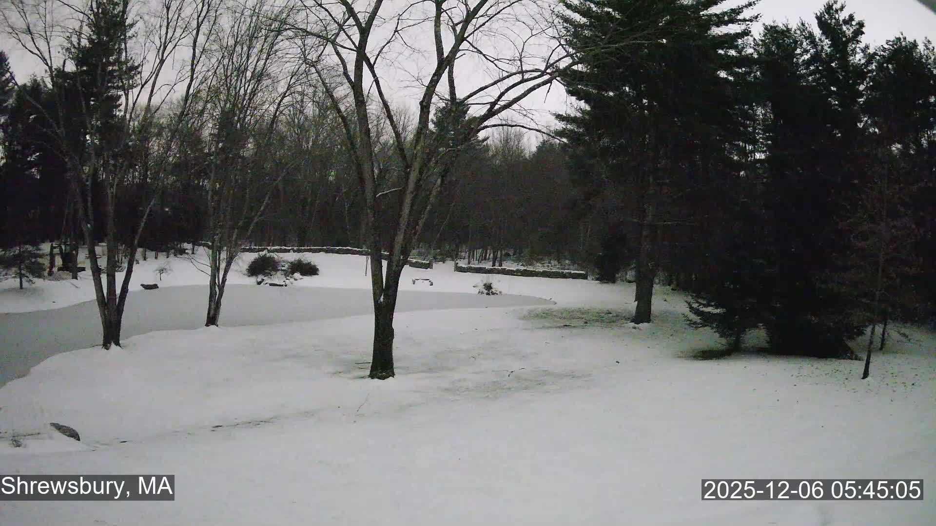Scenic Pond and Trees Live Cam - Shrewsbury, Massachusetts , USA