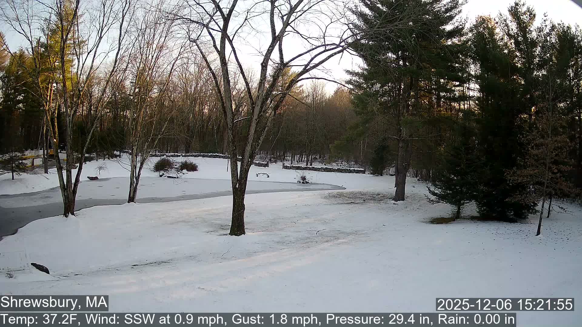Scenic Pond and Trees Live Cam - Shrewsbury, Massachusetts , USA