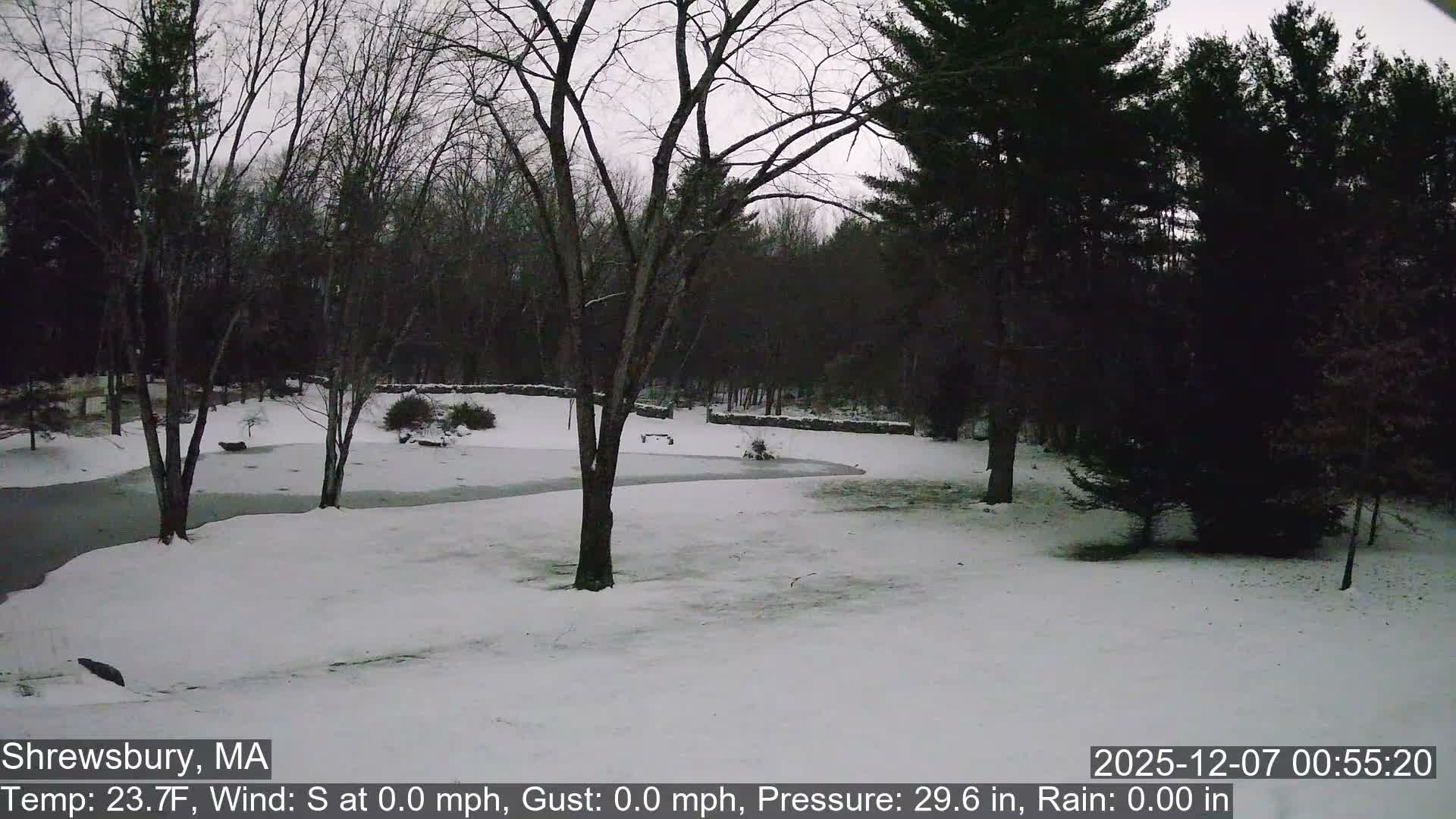 Scenic Pond and Trees Live Cam - Shrewsbury, Massachusetts , USA