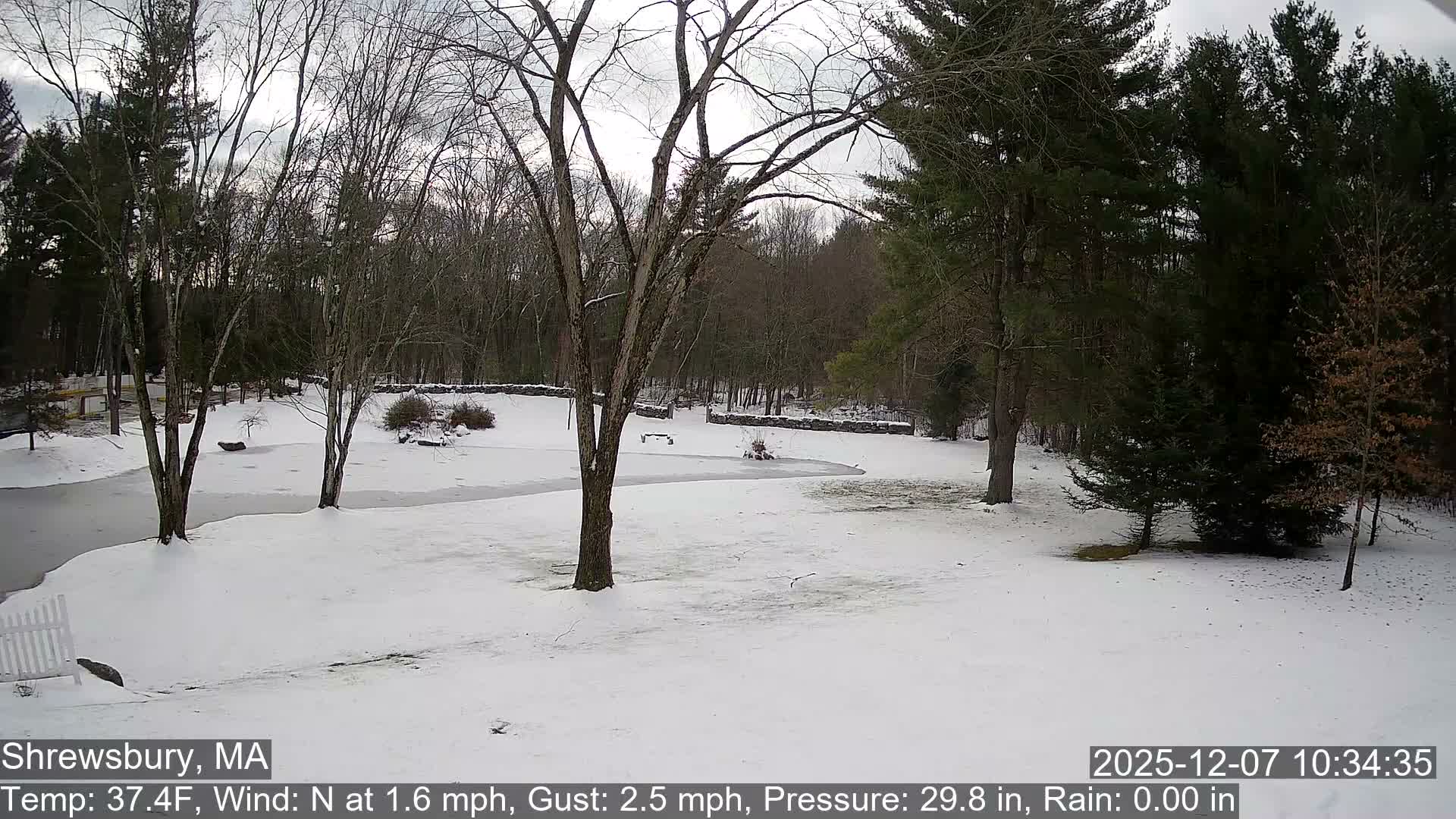 Scenic Pond and Trees Live Cam - Shrewsbury, Massachusetts , USA