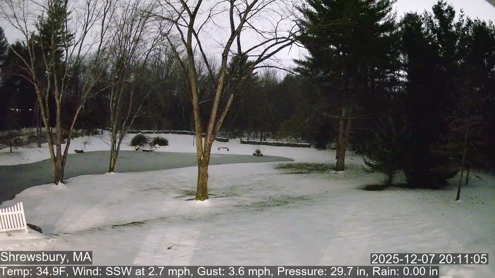 Scenic Pond and Trees Live Cam - Shrewsbury, Massachusetts , USA