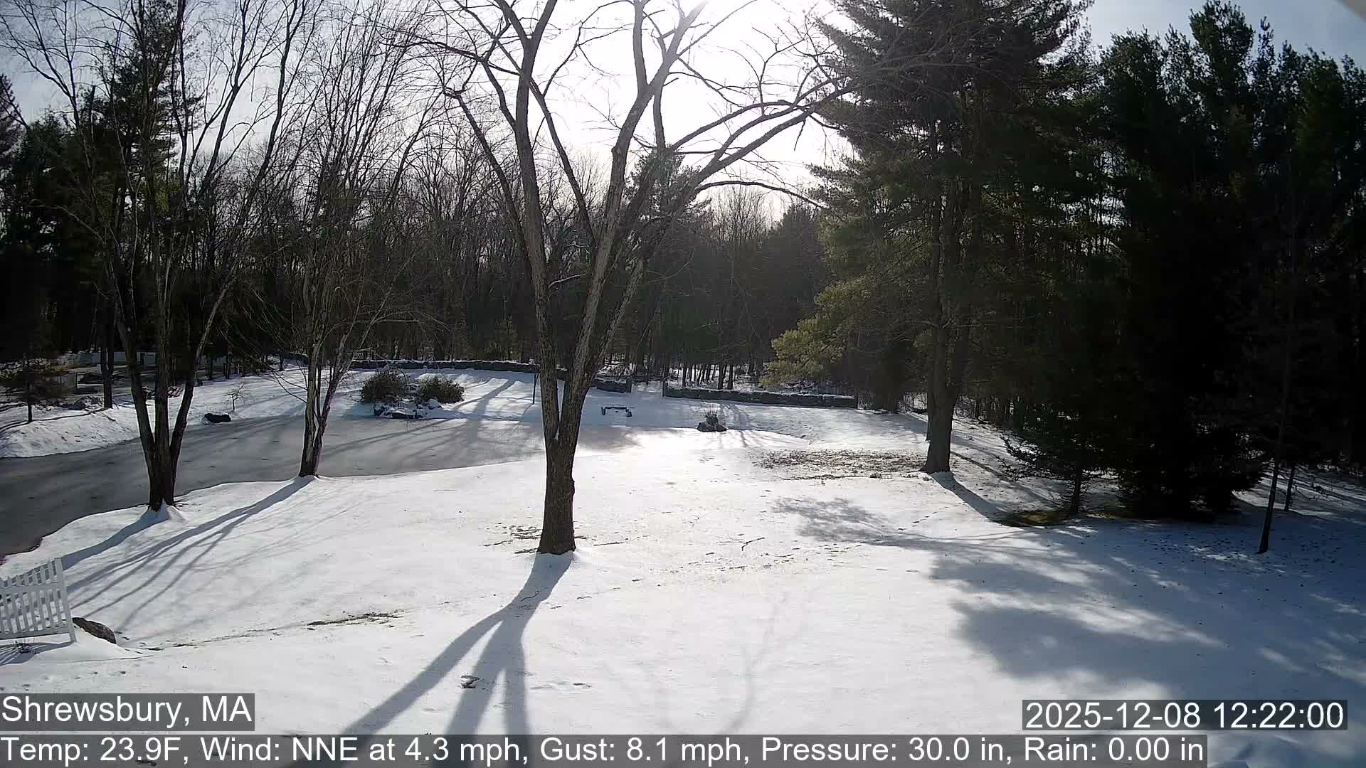 Scenic Pond and Trees Live Cam - Shrewsbury, Massachusetts , USA