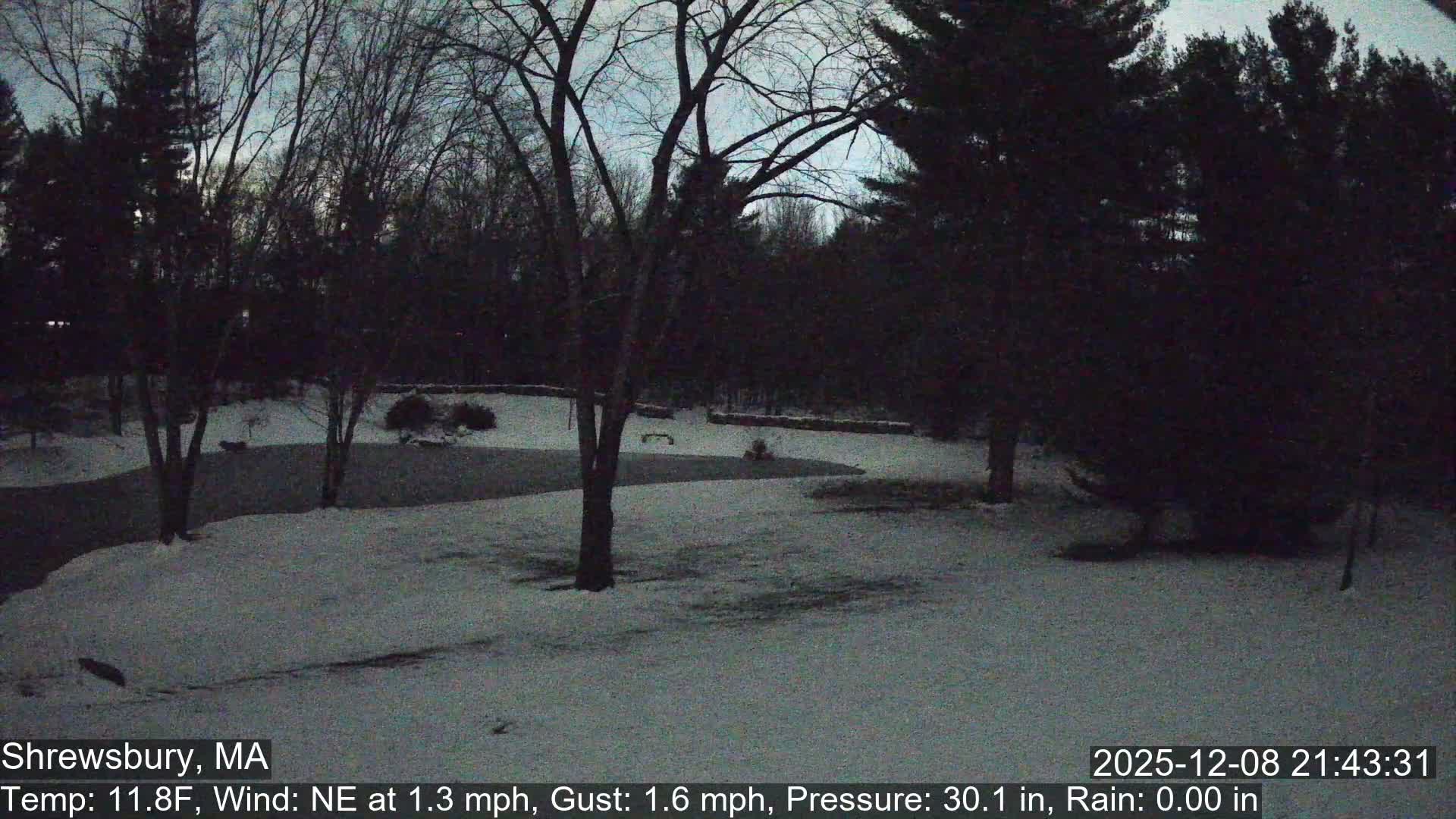 Scenic Pond and Trees Live Cam - Shrewsbury, Massachusetts , USA