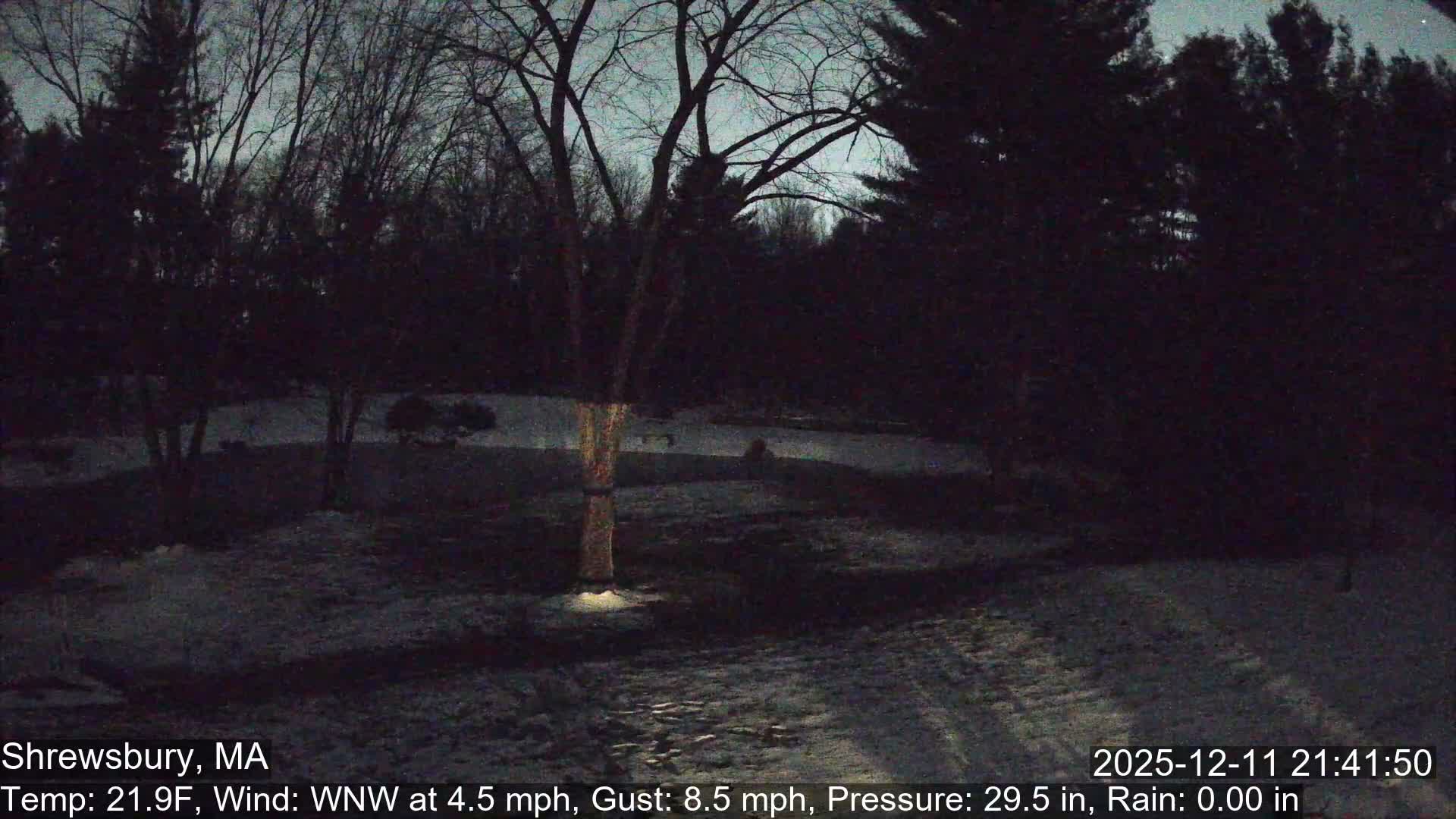 Scenic Pond and Trees Live Cam - Shrewsbury, Massachusetts , USA