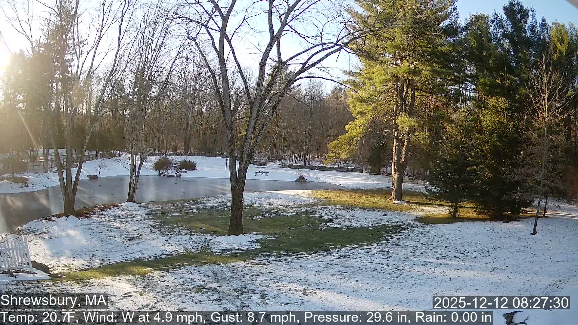 Scenic Pond and Trees Live Cam - Shrewsbury, Massachusetts , USA