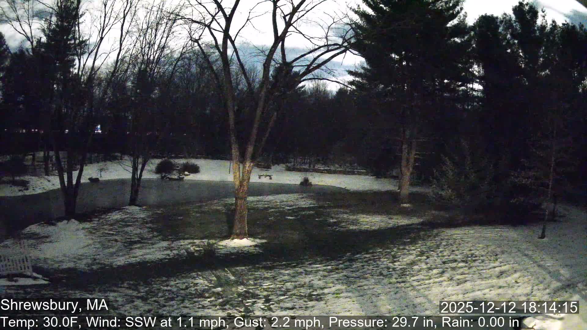 Scenic Pond and Trees Live Cam - Shrewsbury, Massachusetts , USA