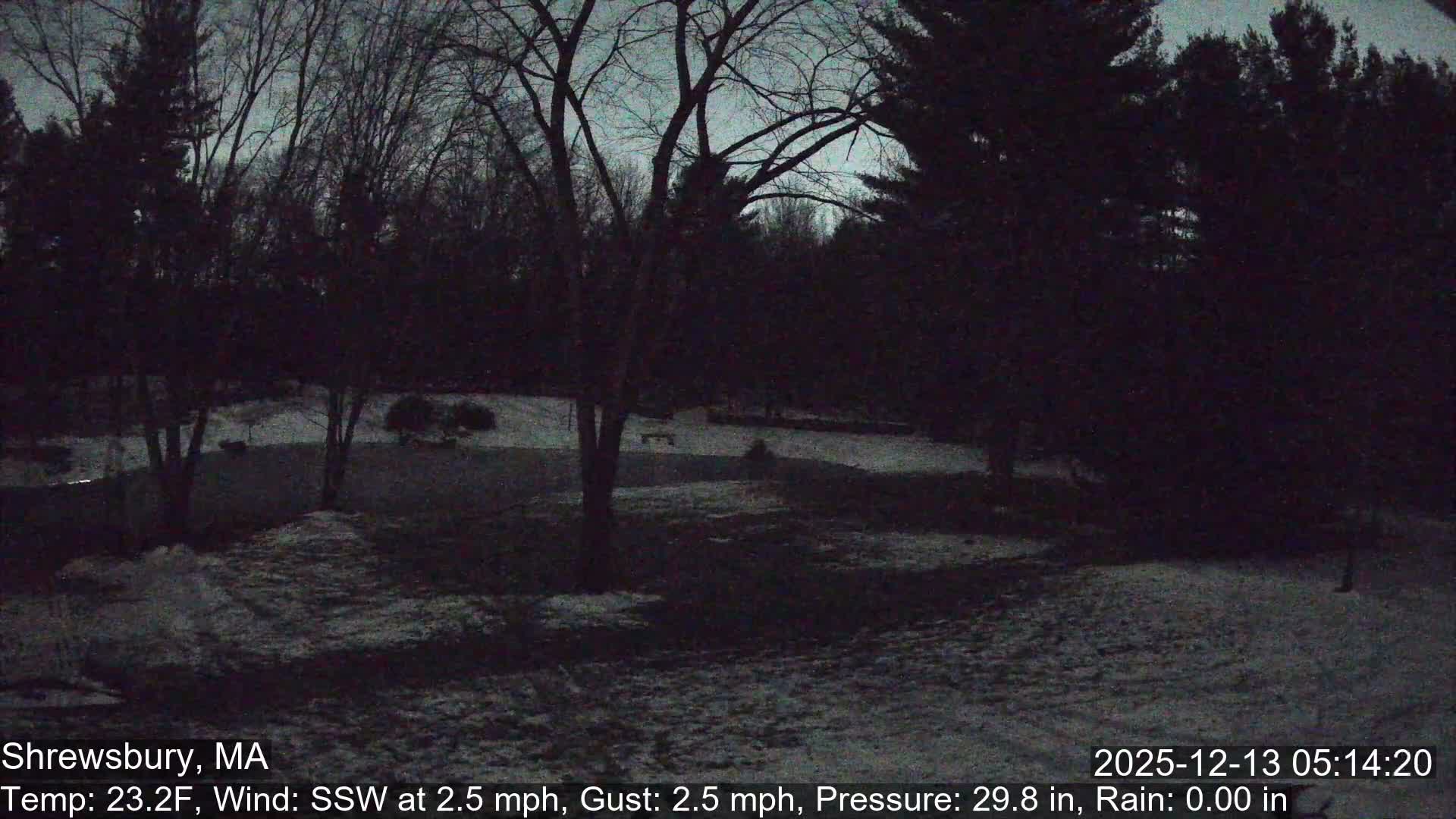Scenic Pond and Trees Live Cam - Shrewsbury, Massachusetts , USA
