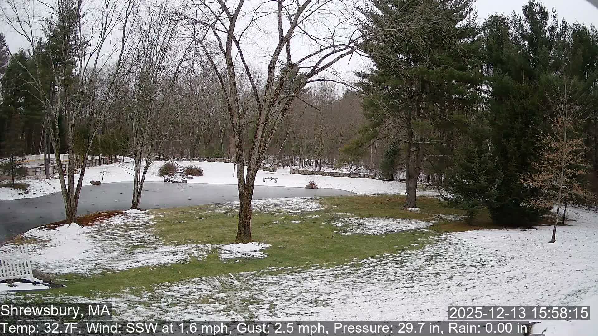 Scenic Pond and Trees Live Cam - Shrewsbury, Massachusetts , USA