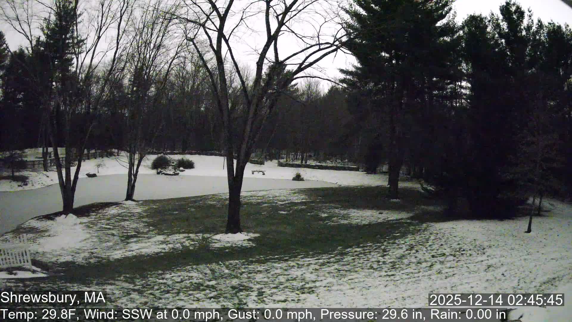 Scenic Pond and Trees Live Cam - Shrewsbury, Massachusetts , USA