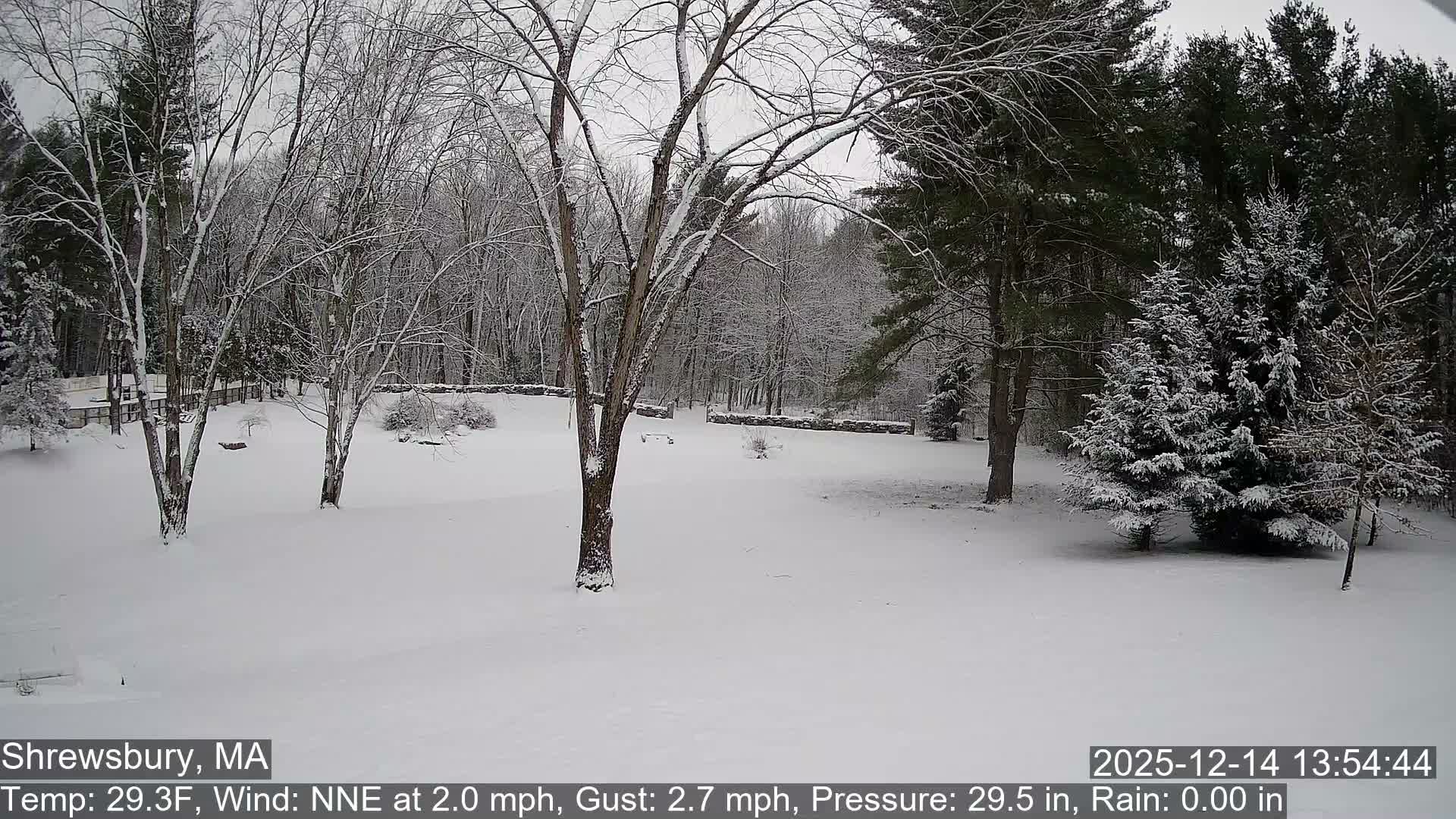 A snowy landscape shows a scattering of bare deciduous trees and dark evergreen trees amidst snow-dusted ground and what appears to be a partially frozen stream or dark path, all under a clear, bright sky on a cold day.