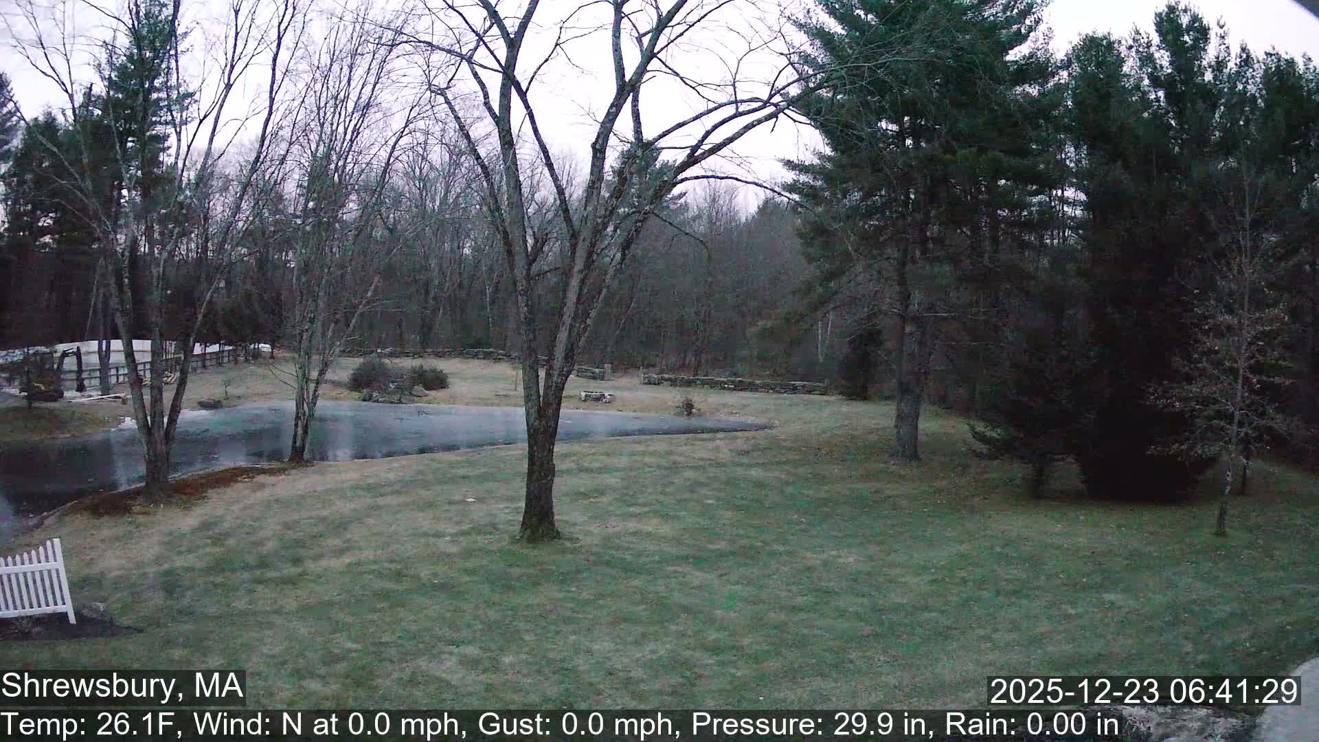 Scenic Pond and Trees Live Cam - Shrewsbury, Massachusetts , USA