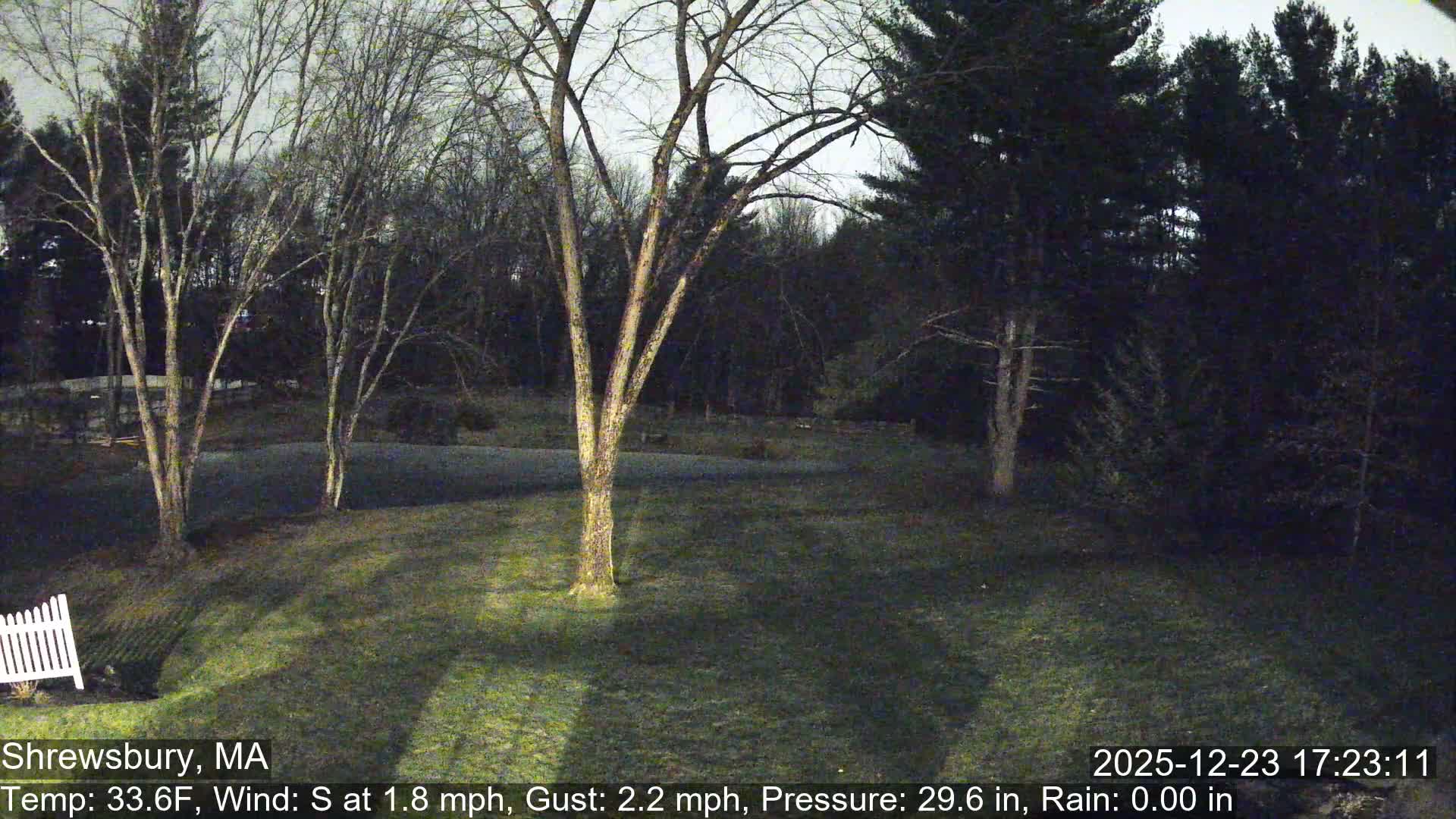 Scenic Pond and Trees Live Cam - Shrewsbury, Massachusetts , USA