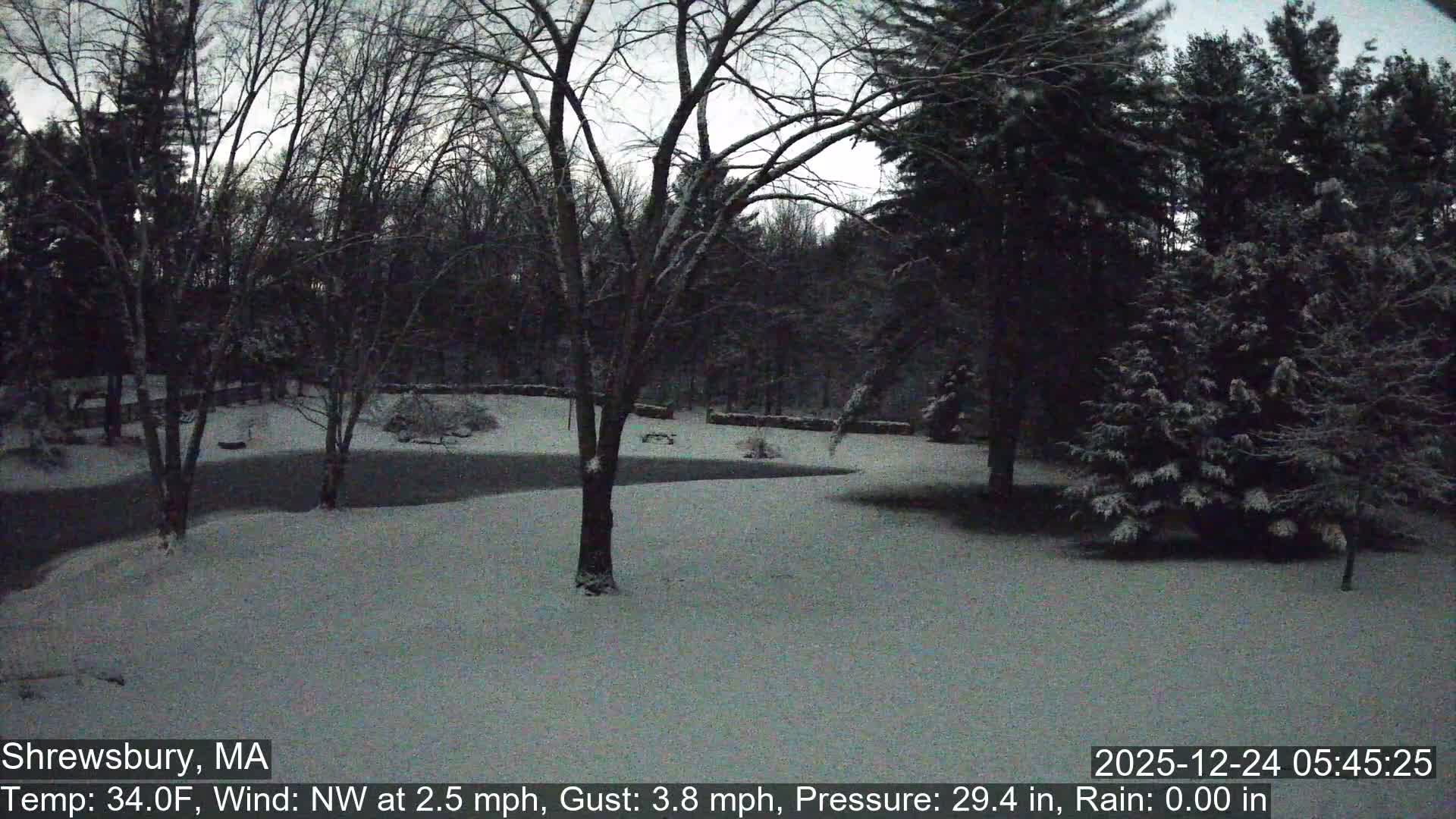 Scenic Pond and Trees Live Cam - Shrewsbury, Massachusetts , USA
