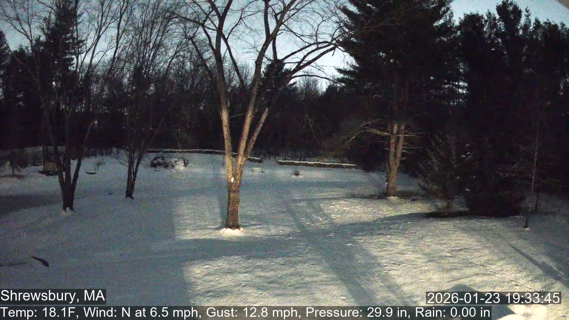 Scenic Pond and Trees Live Cam - Shrewsbury, Massachusetts , USA