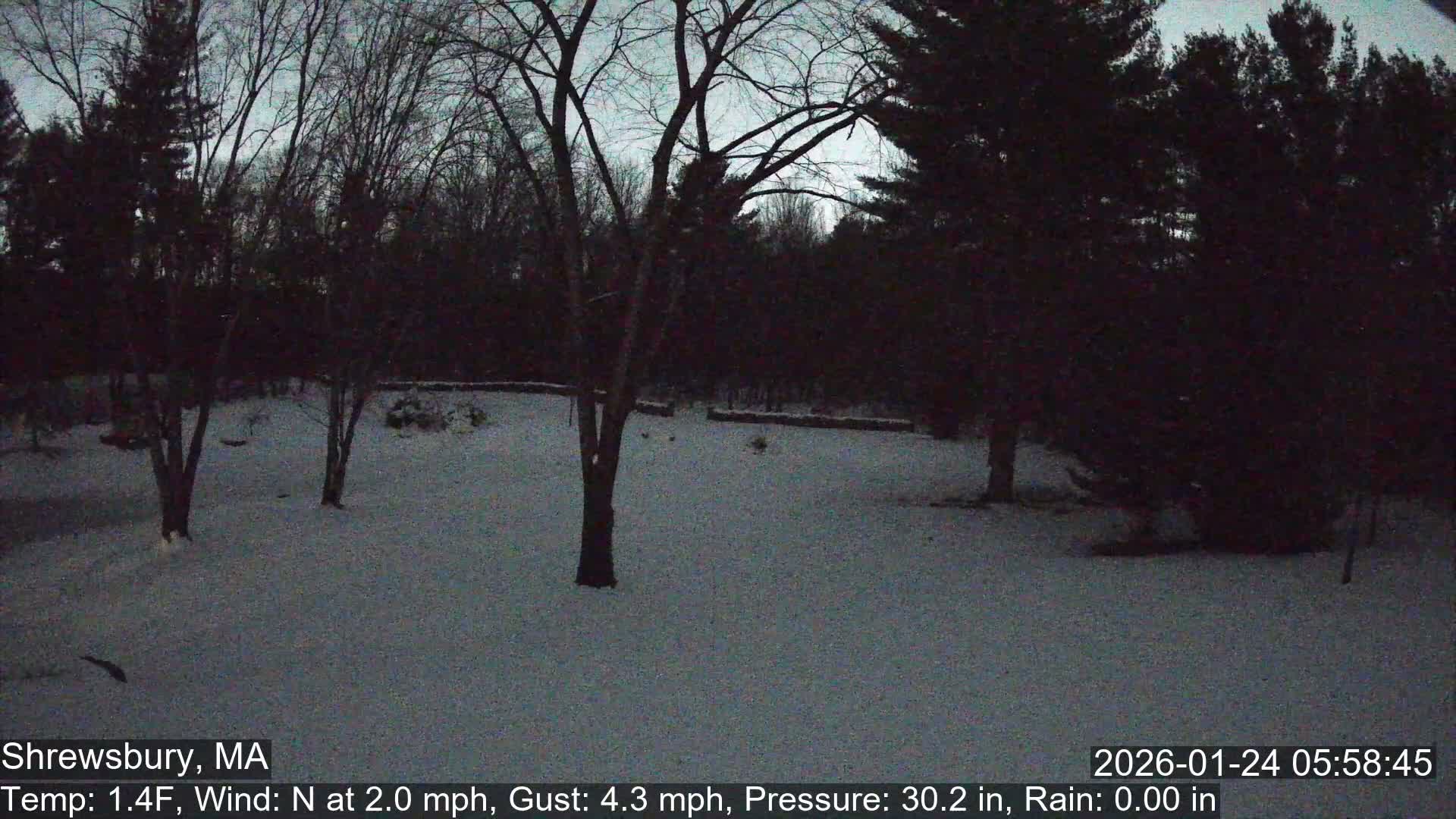 Scenic Pond and Trees Live Cam - Shrewsbury, Massachusetts , USA