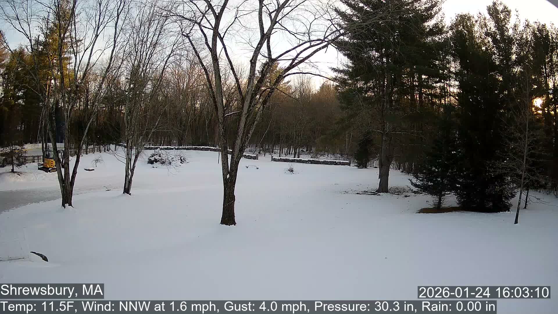Scenic Pond and Trees Live Cam - Shrewsbury, Massachusetts , USA