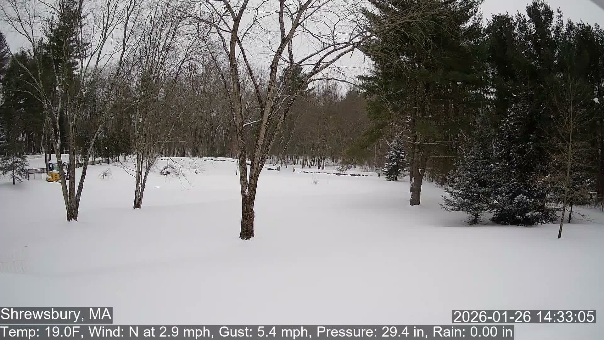 Scenic Pond and Trees Live Cam - Shrewsbury, Massachusetts , USA