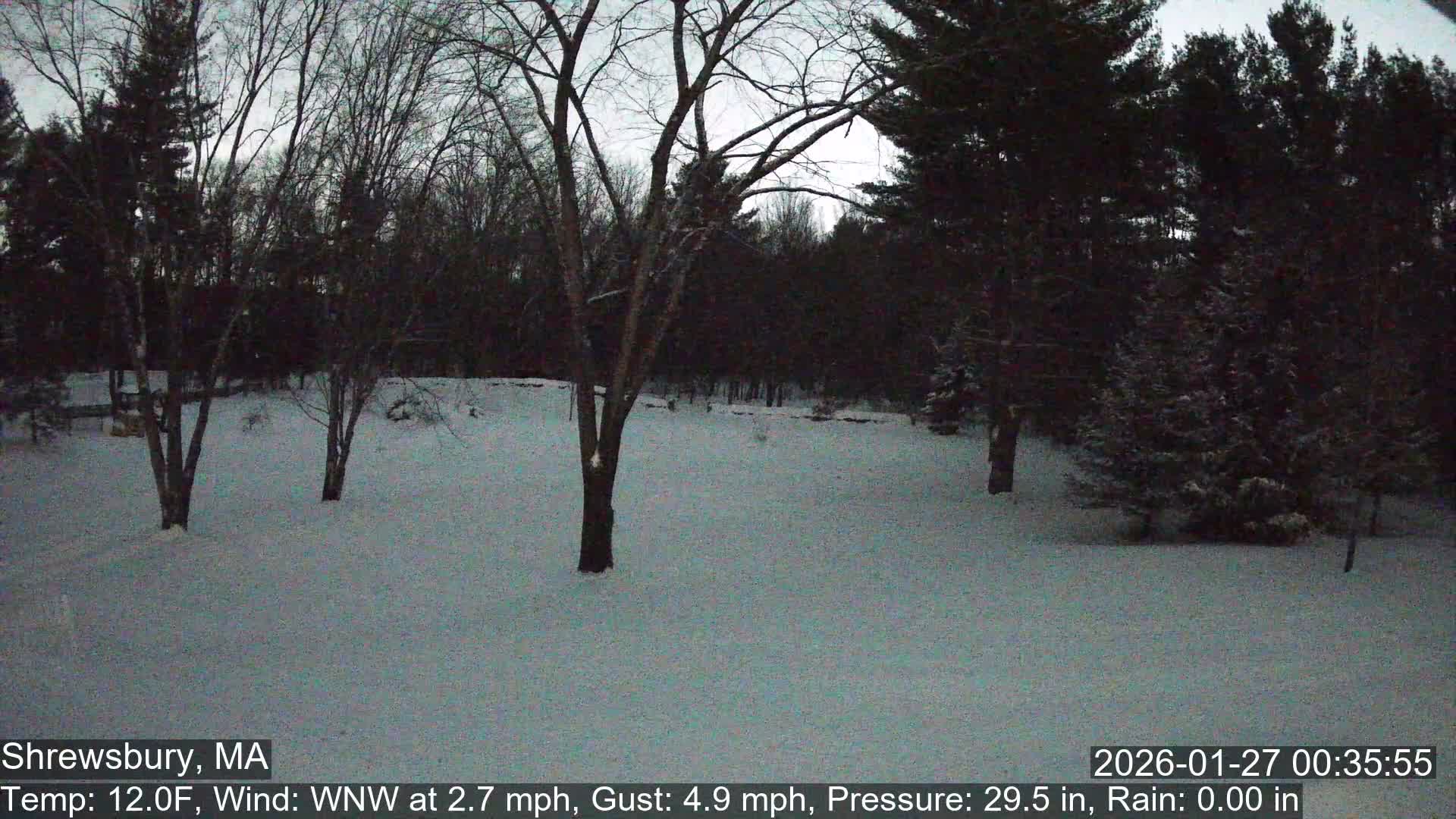 Scenic Pond and Trees Live Cam - Shrewsbury, Massachusetts , USA