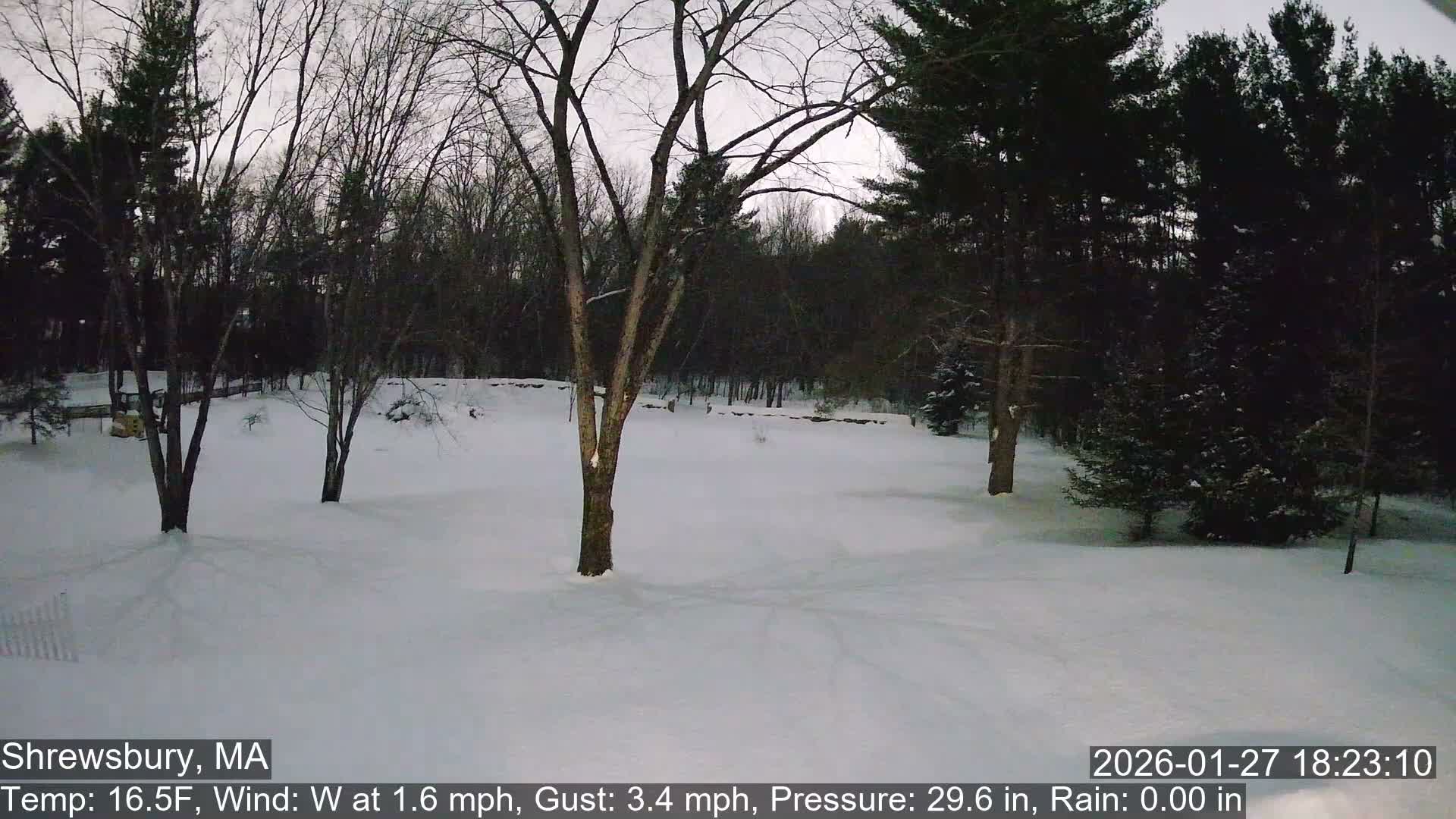 Scenic Pond and Trees Live Cam - Shrewsbury, Massachusetts , USA