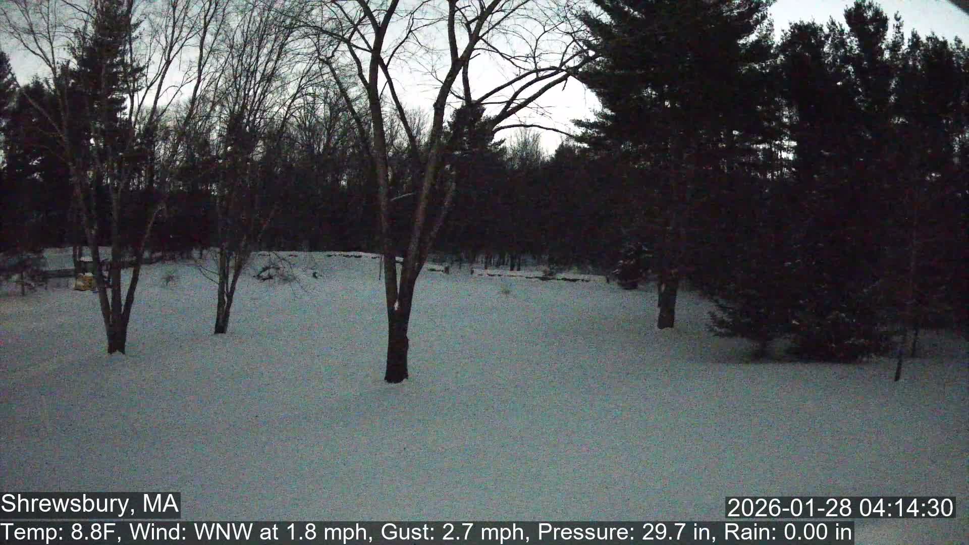 Scenic Pond and Trees Live Cam - Shrewsbury, Massachusetts , USA