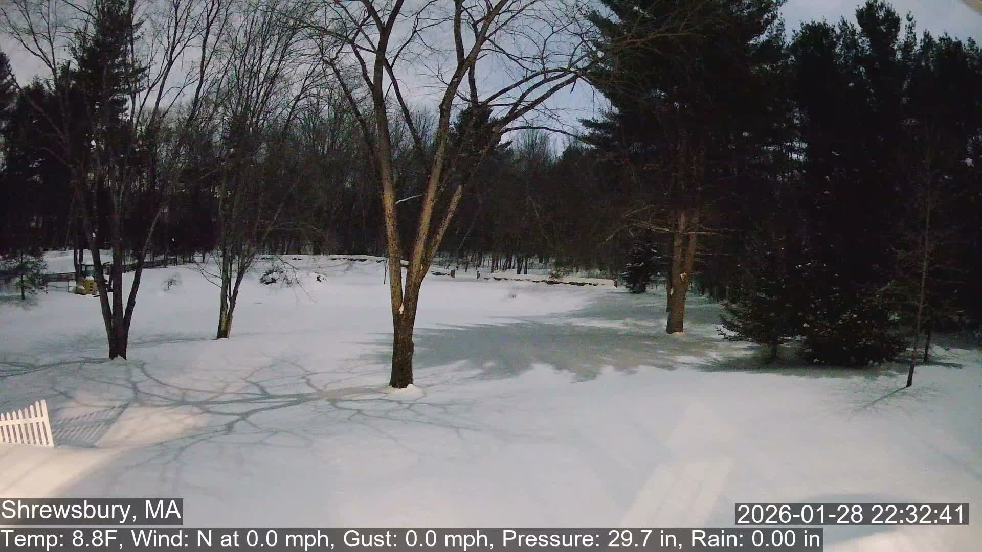Scenic Pond and Trees Live Cam - Shrewsbury, Massachusetts , USA