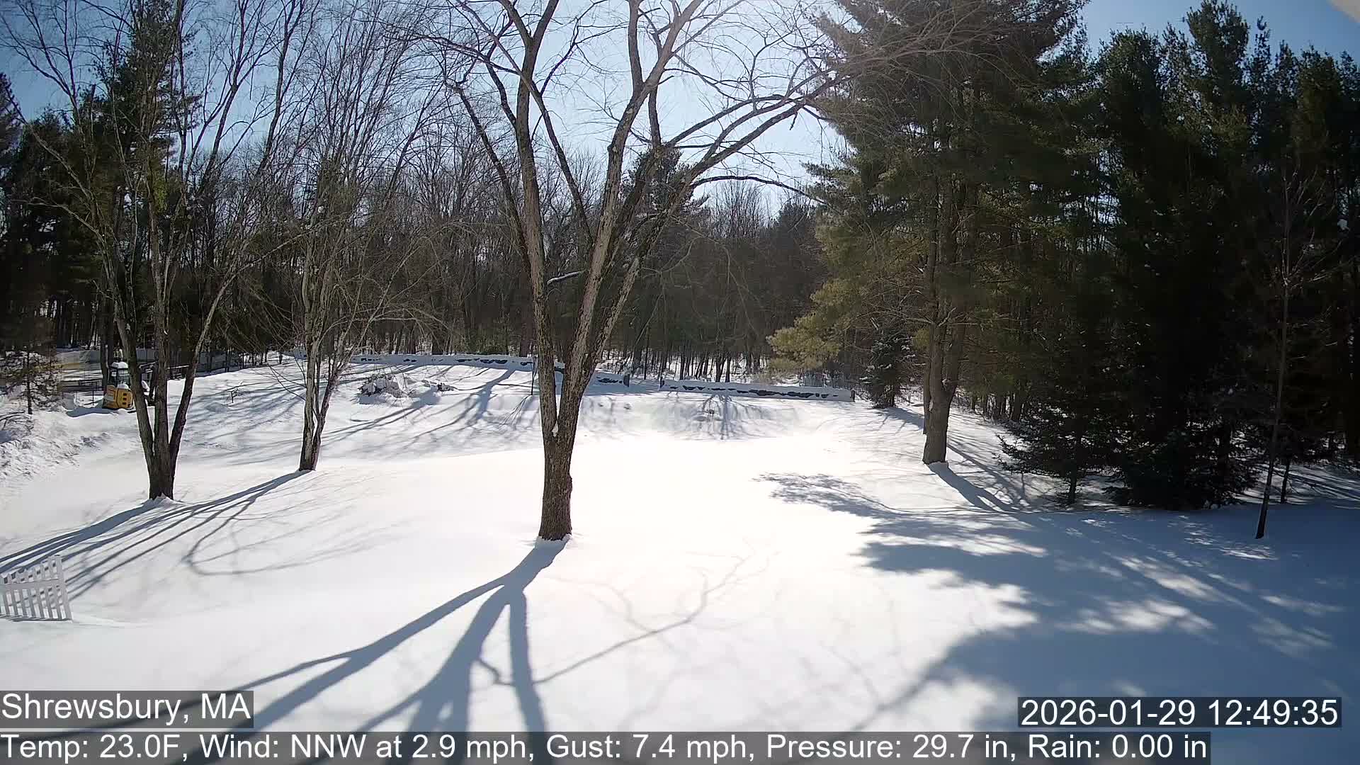 Scenic Pond and Trees Live Cam - Shrewsbury, Massachusetts , USA