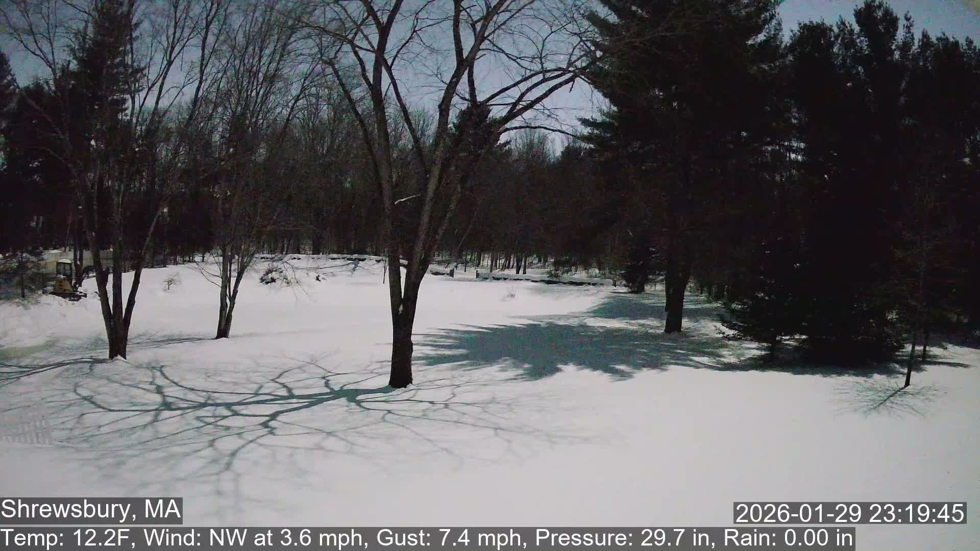 Scenic Pond and Trees Live Cam - Shrewsbury, Massachusetts , USA