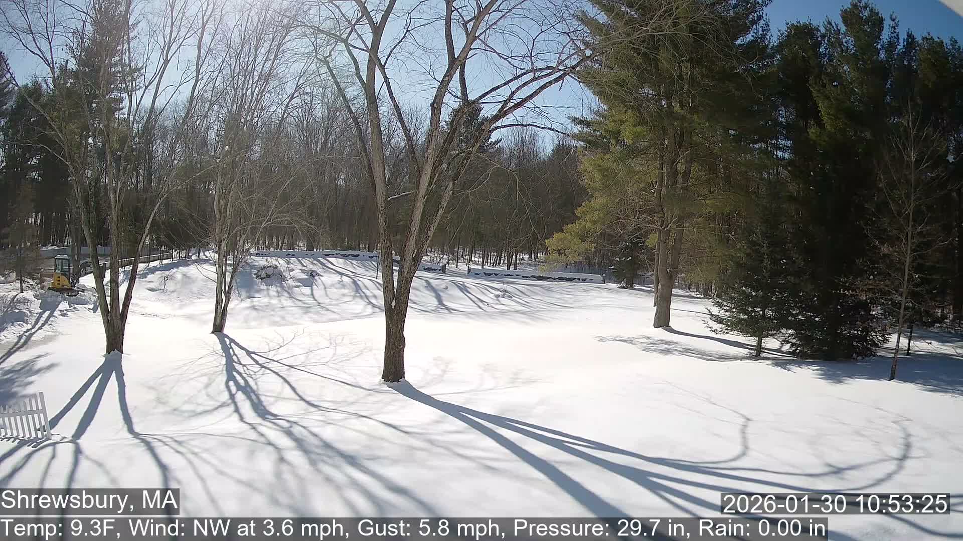 Scenic Pond and Trees Live Cam - Shrewsbury, Massachusetts , USA