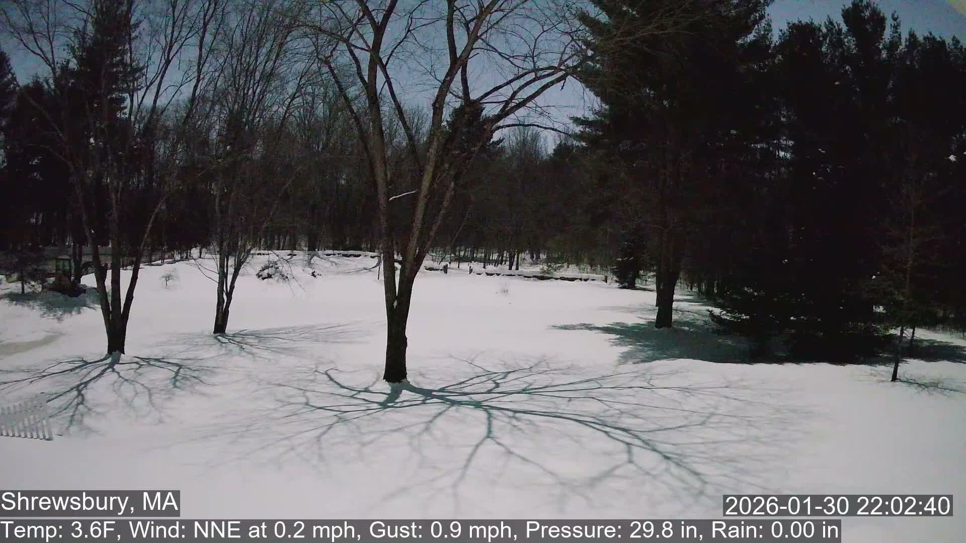 Scenic Pond and Trees Live Cam - Shrewsbury, Massachusetts , USA
