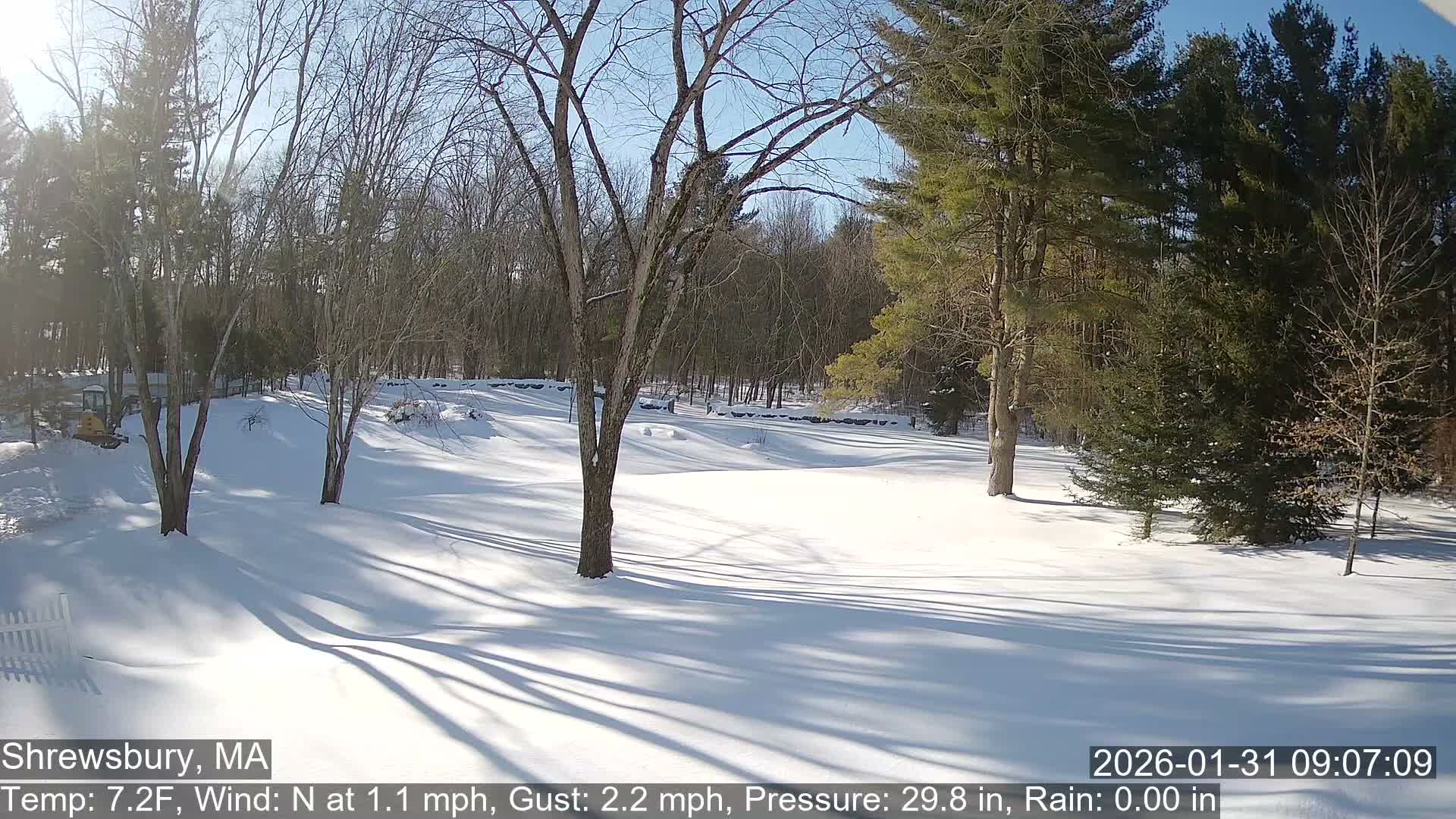 Scenic Pond and Trees Live Cam - Shrewsbury, Massachusetts , USA