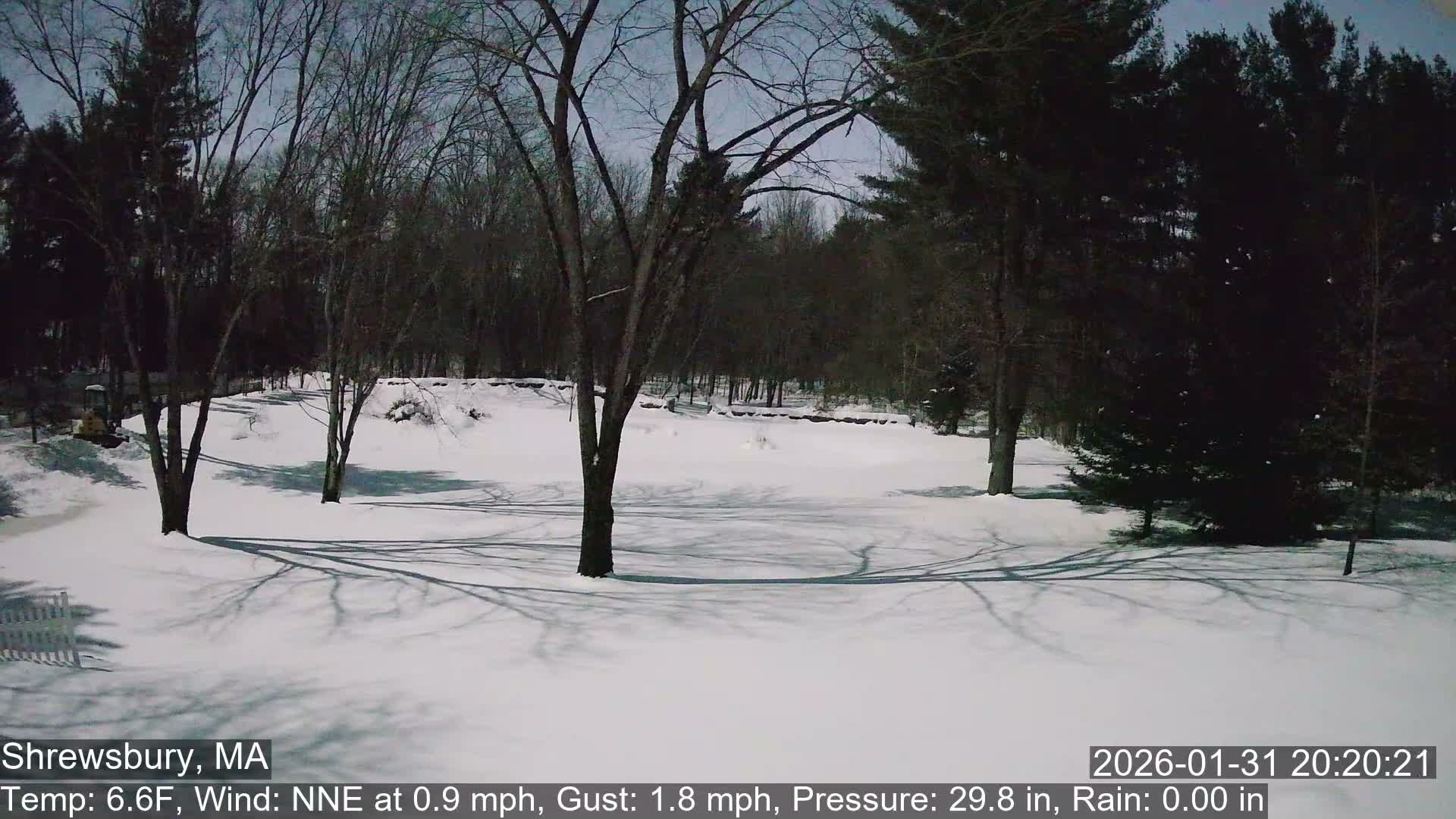 Scenic Pond and Trees Live Cam - Shrewsbury, Massachusetts , USA